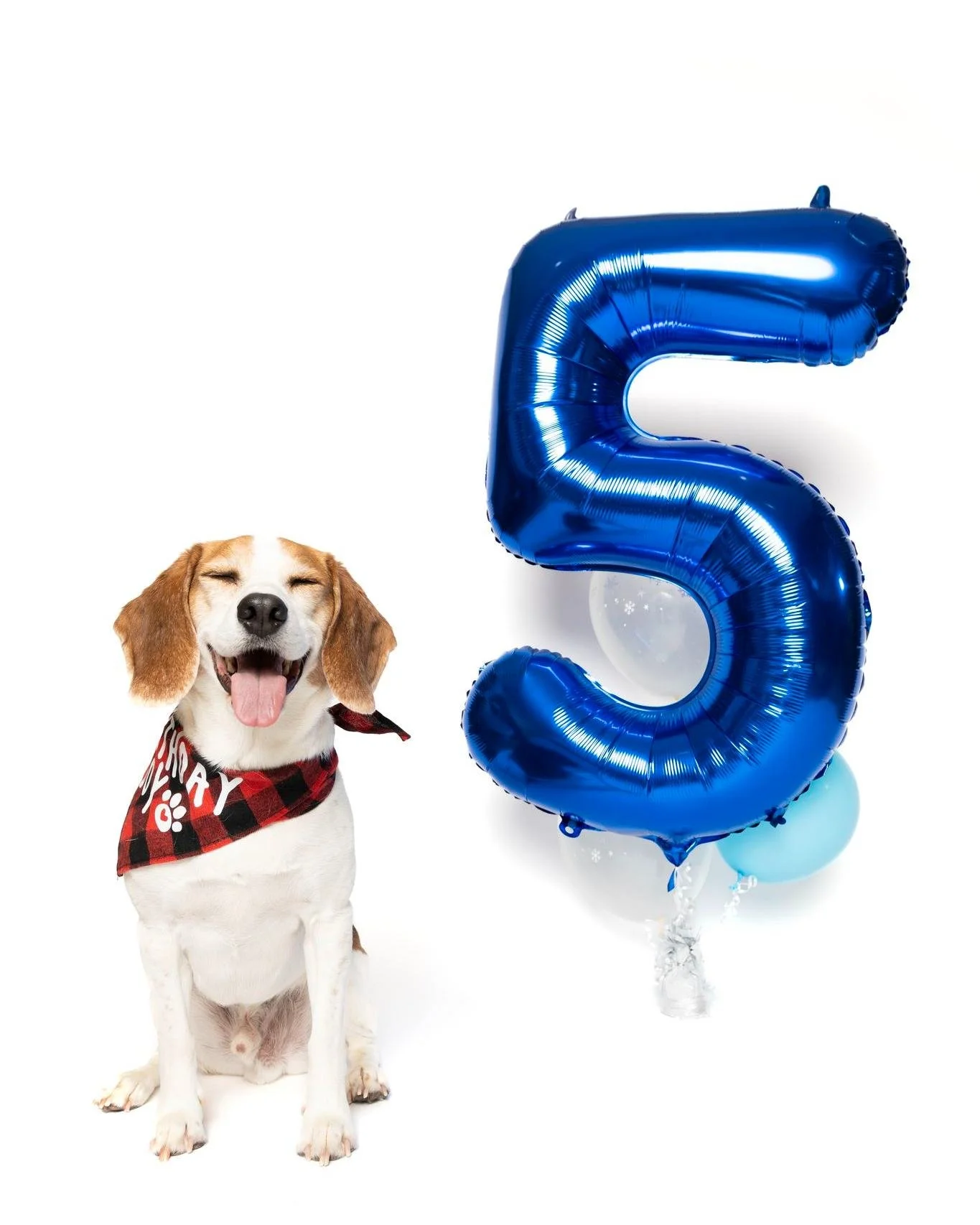 I am privileged that I got to do a birthday shoot for this young man.  Mose turned 5 on the weekend, and we got some super cute shots of him to celebrate his 5th birthday.  He is really rockin' the white background.

#photographer #photosession #kwaw