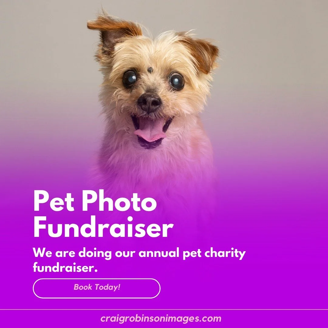 Hello.  @andinotimetopaws and myself are doing a pet charity fundraiser again in 2026.  This year we are raising money for 2 local pet charities, Happy's Place Senior Dog Rescue, and Pet Patrol Cat Rescue.  Book a photo session between March 14 and M