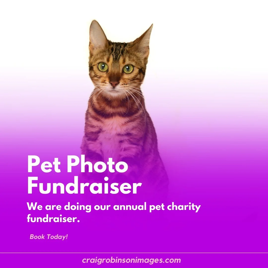 @andinotimetopaws and myself are doing a pet charity fundraiser again in 2026.  This year we are raising money for 2 local pet charities, Happy's Place Senior Dog Rescue, and Pet Patrol Cat Rescue.  Book a photo session between March 14 and May 10, a