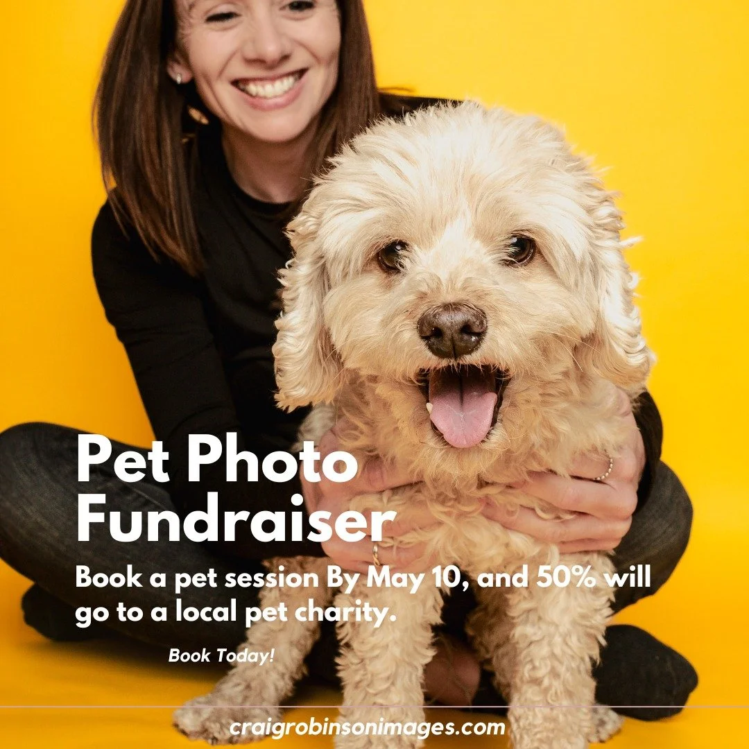 Spring is here and @andinotimetopaws and myself are doing a pet photo charity fundraiser again. This year we are raising money for 2 local pet charities, Happy's Place Senior Dog Rescue, and Pet Patrol Cat Rescue. Book a photo session by May 10, and 