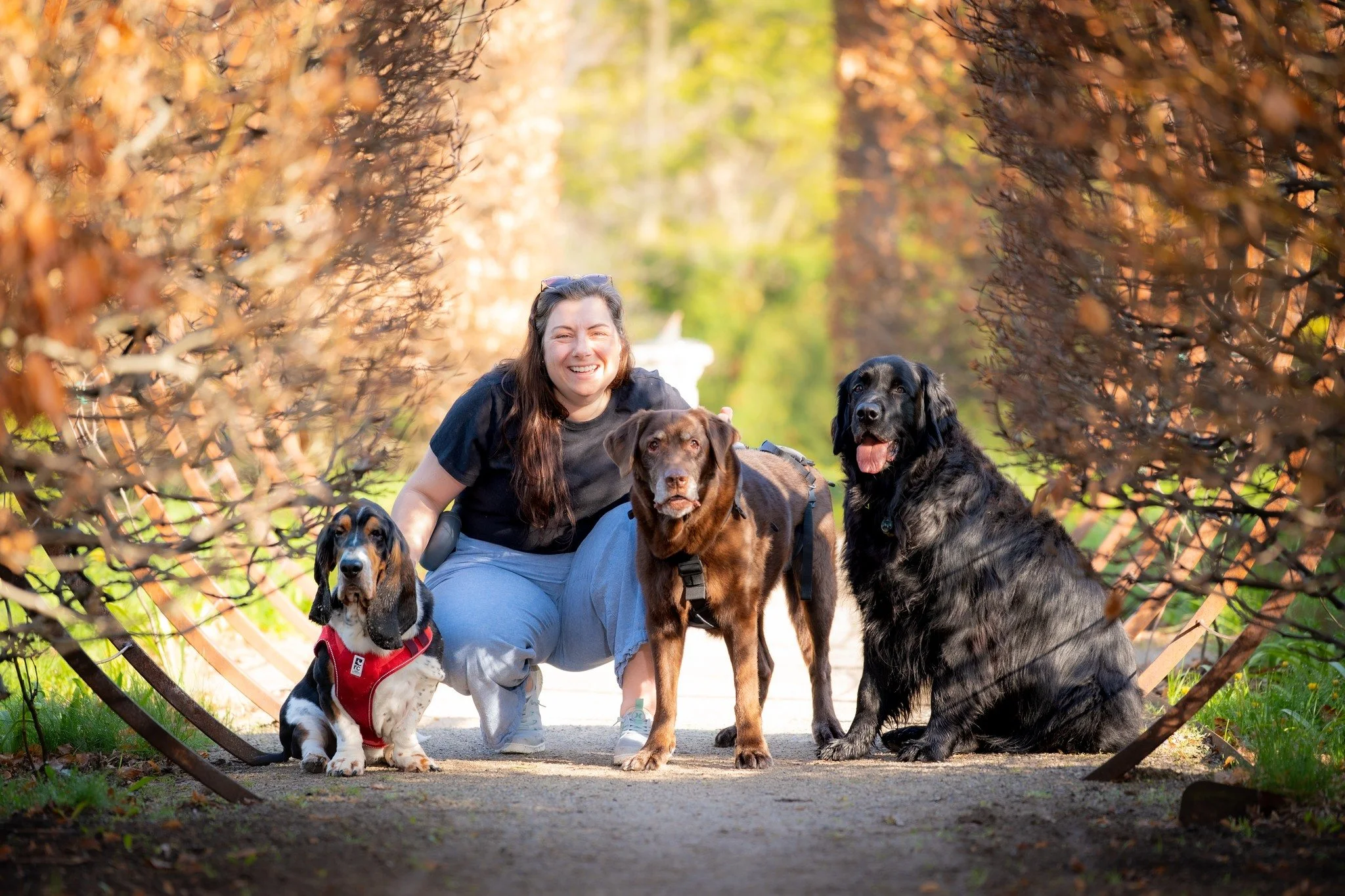 What a beautiful way to spend a Sunday morning.  We had some gorgeous photography weather for our session, and an amazing location. 

@andinotimetopaws and myself are doing a pet charity fundraiser again in 2026. There are just a couple of weeks left