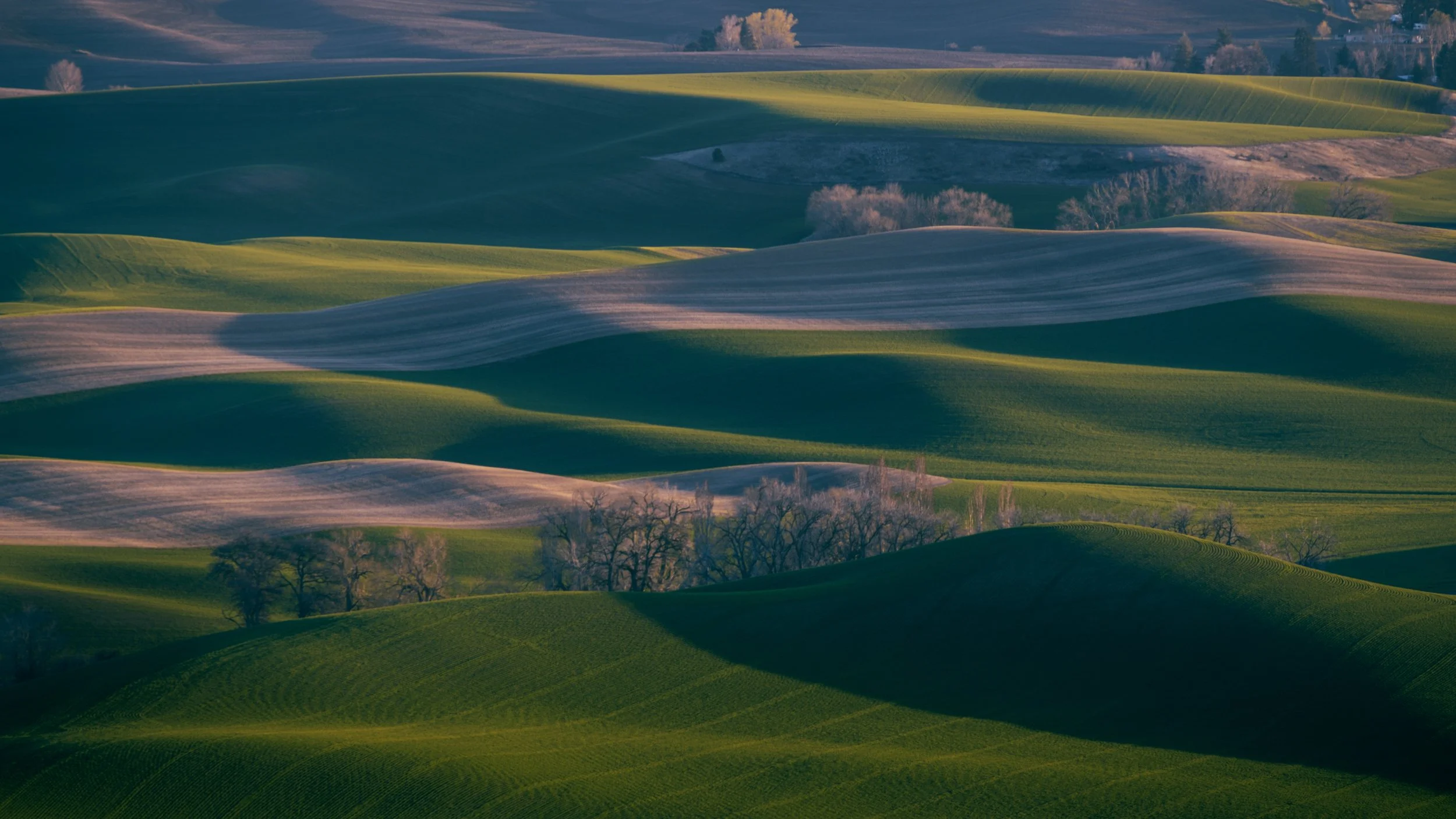 The Palouse, Washington State
