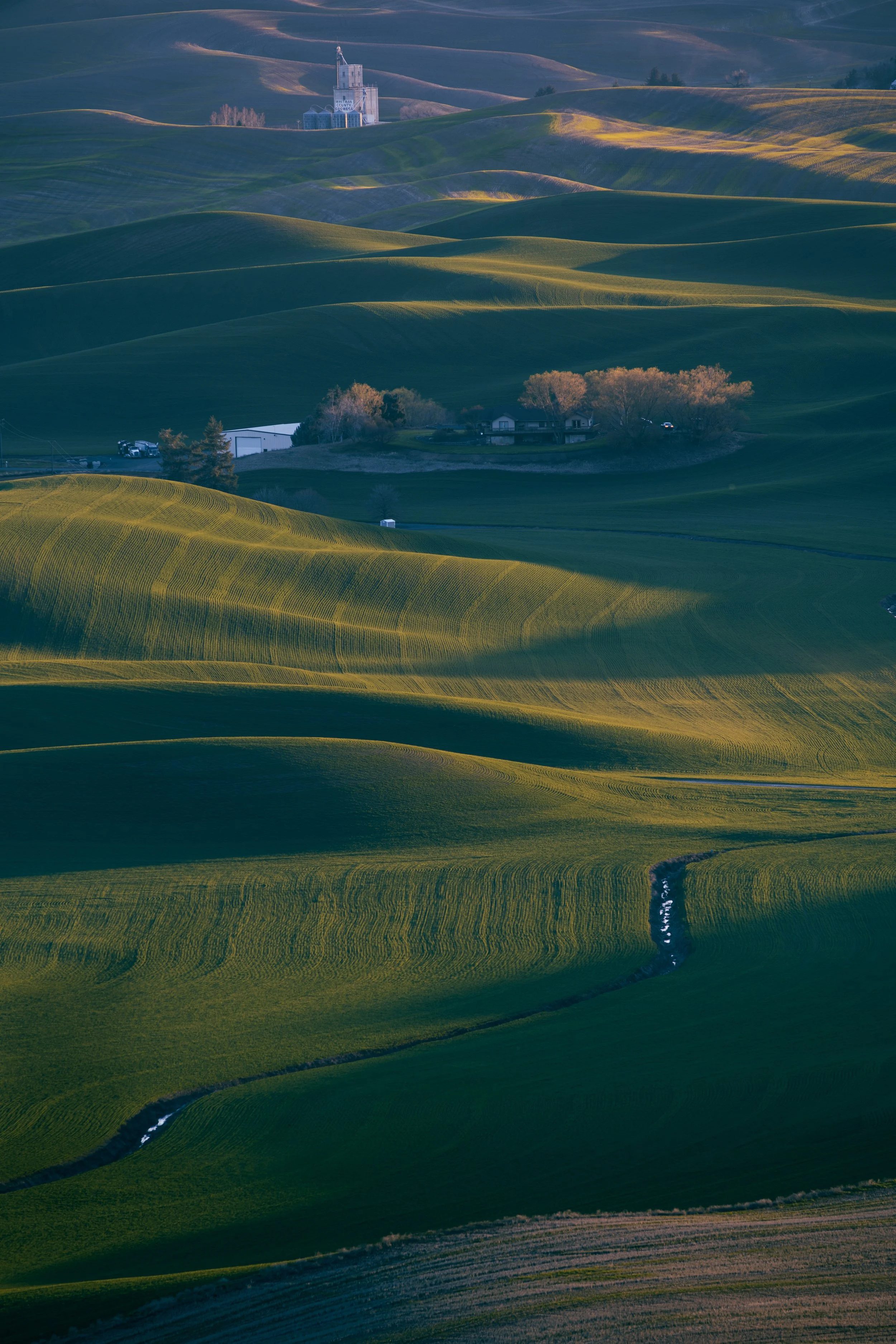 The Palouse, Washington State