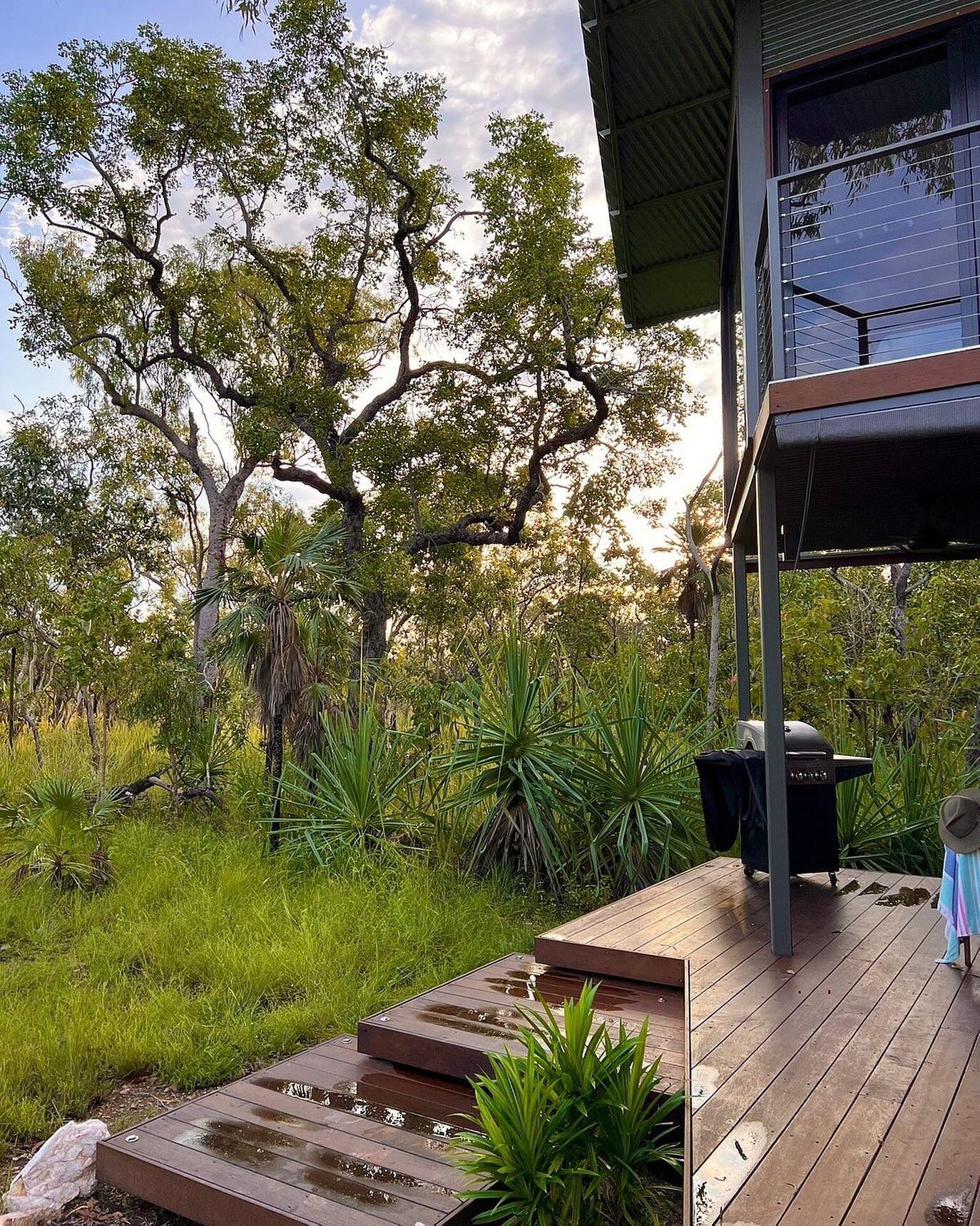 Glistening green ✨ 

Book your wet season stay 👉 www.hideawaylitchfield.com