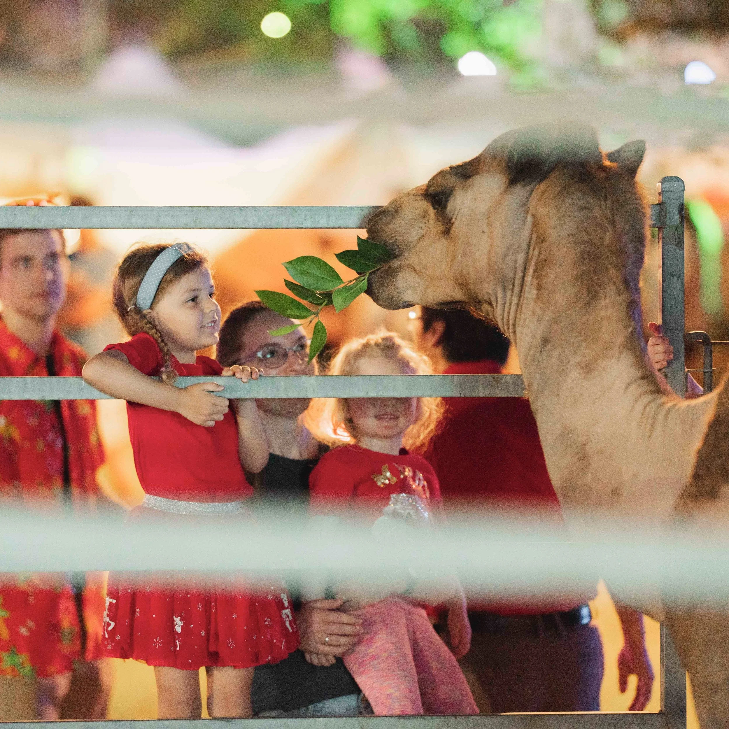 Stable 2025 Screen-51.jpg