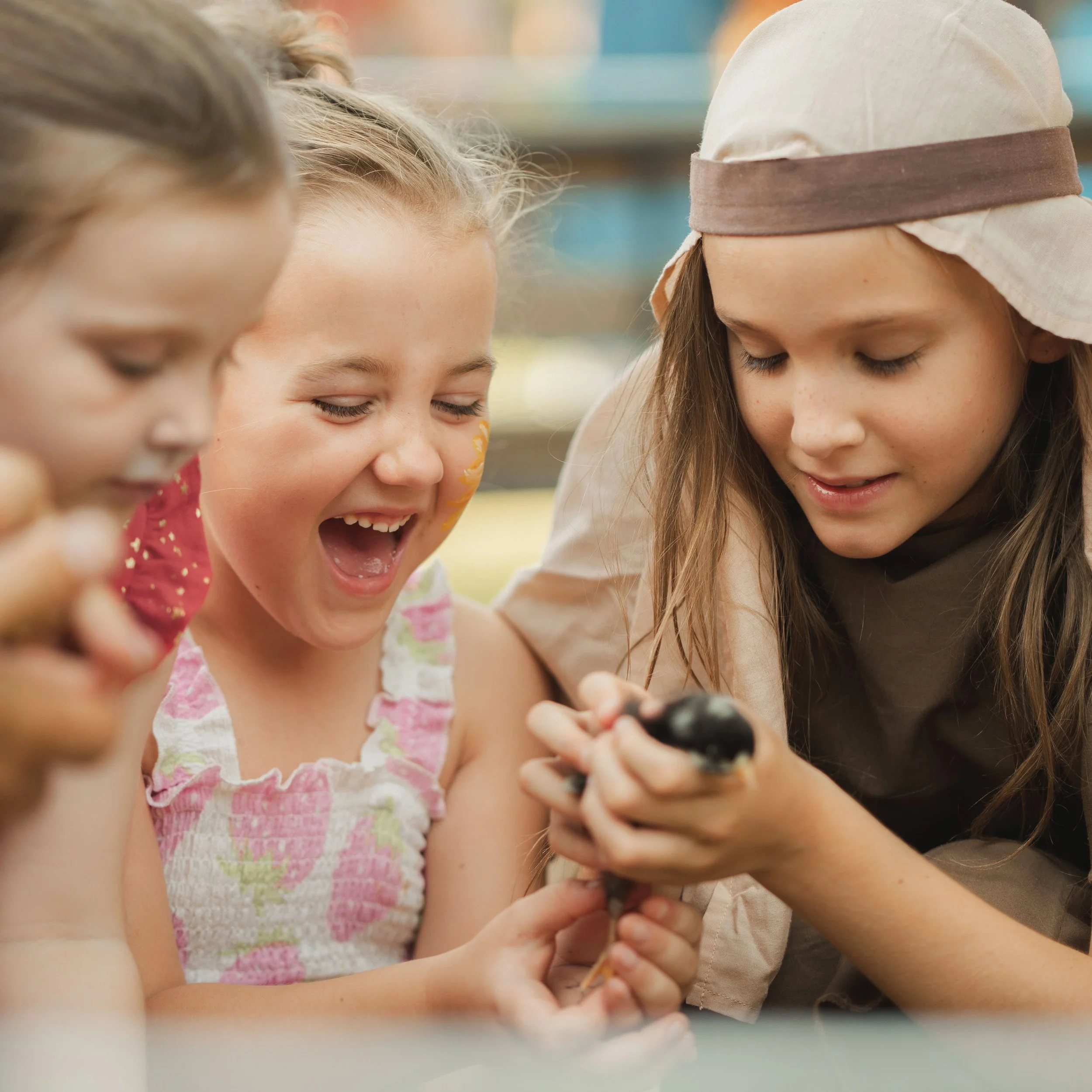 Stable 2025 Screen-241.jpg