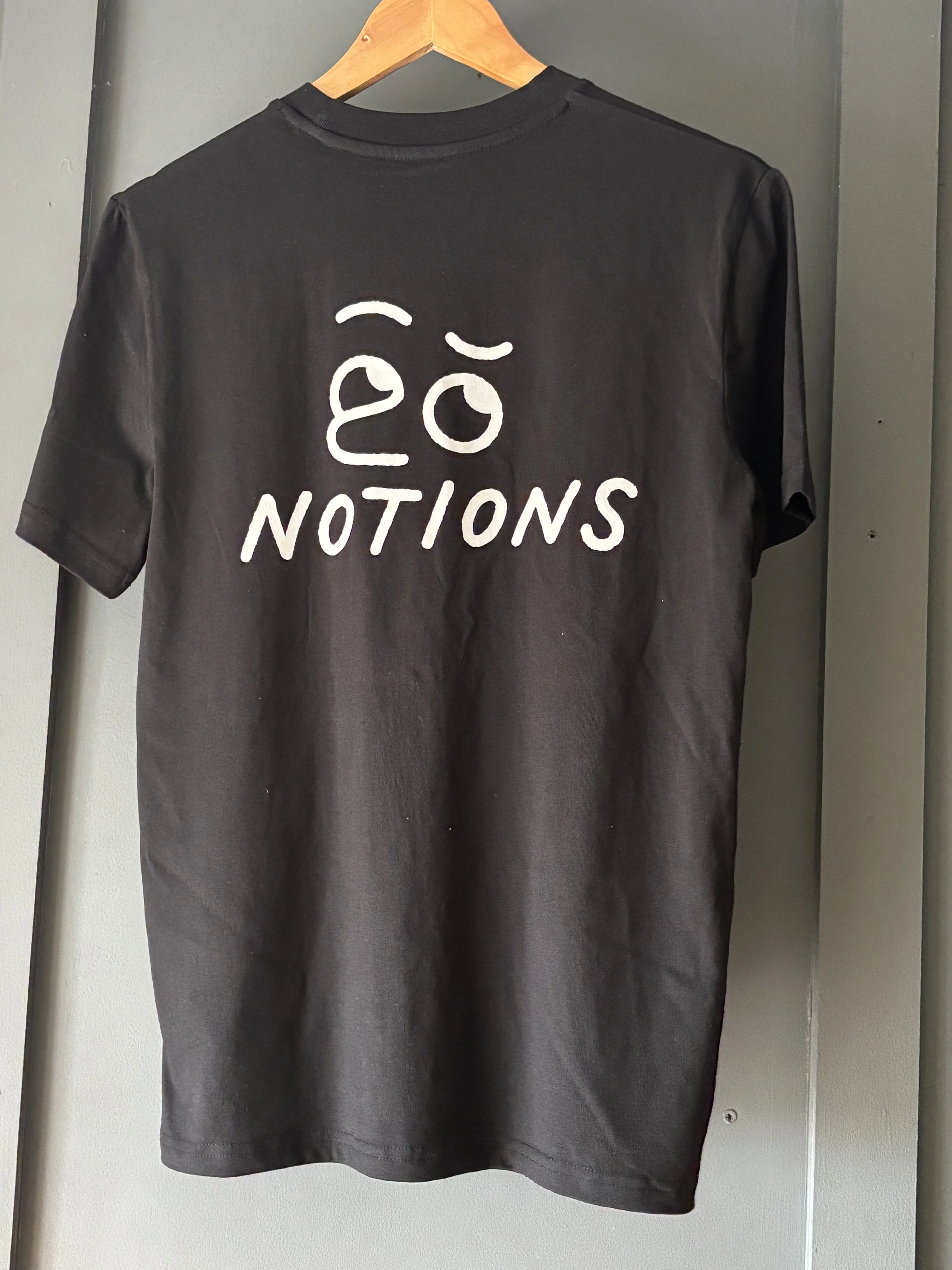 Notions T Shirt Back.JPG