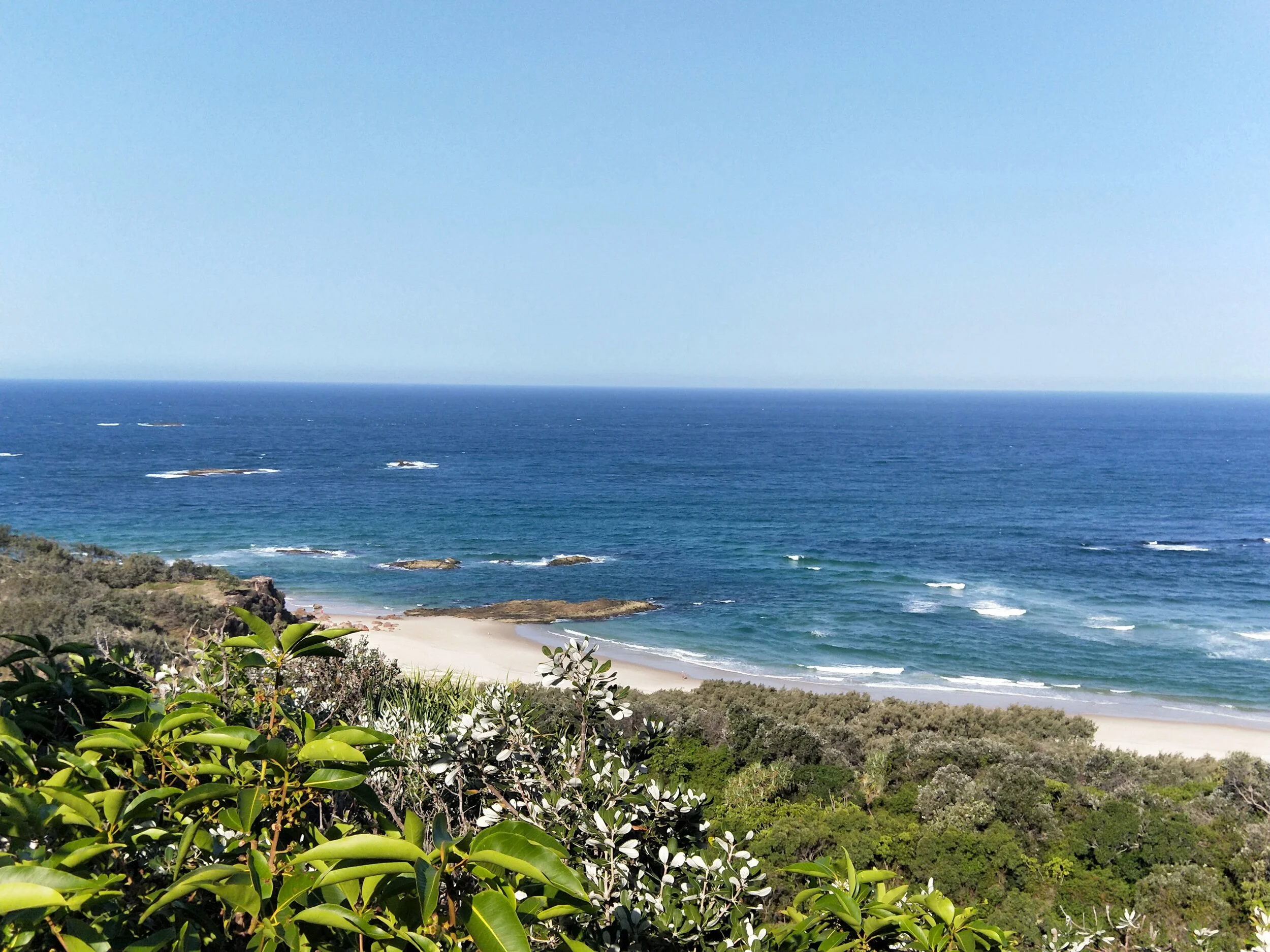 IMG20201114155952.jpg