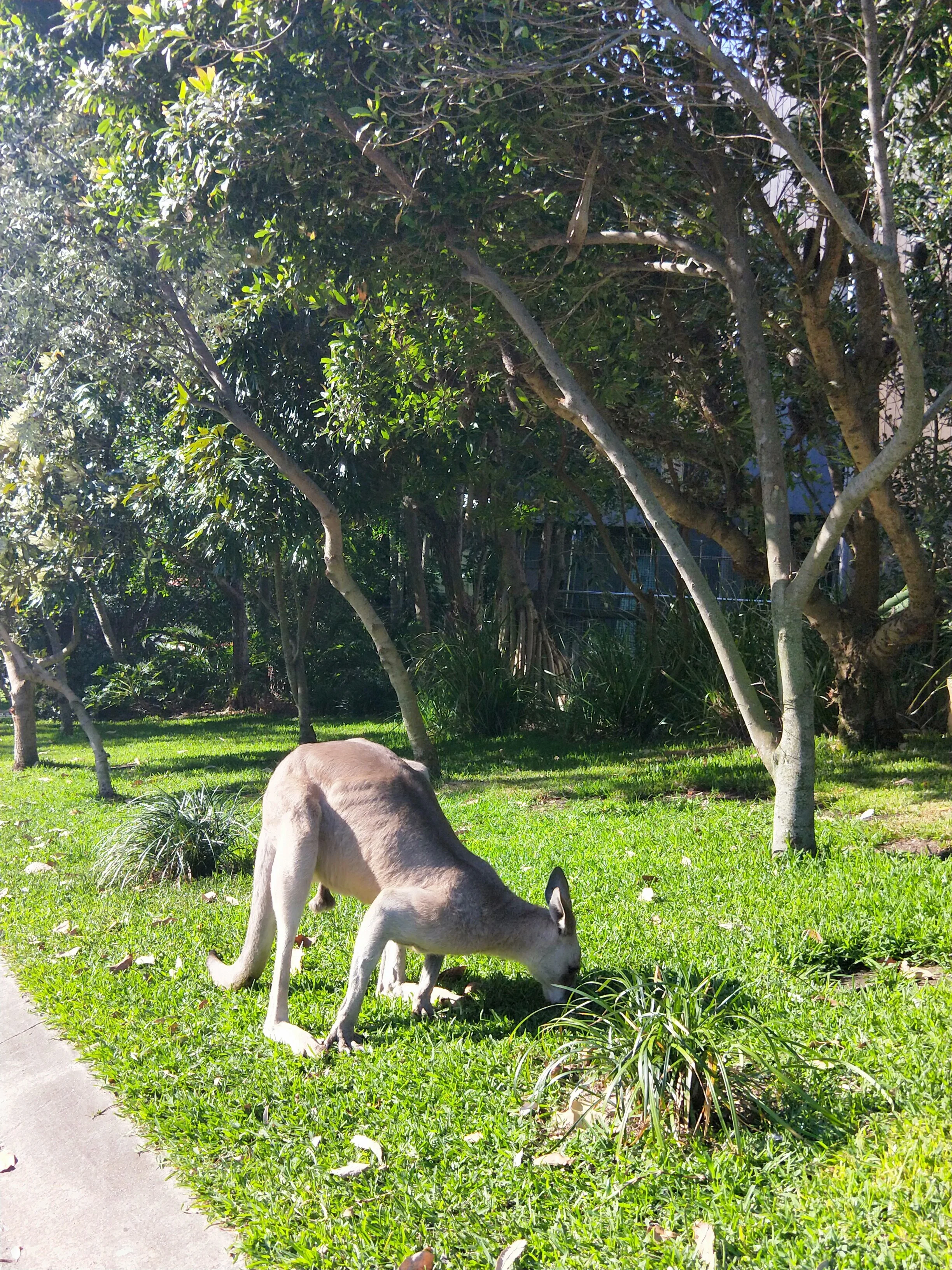 IMG20201114155637.jpg