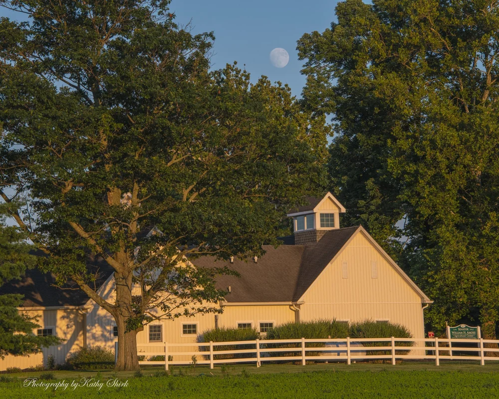 Top Real Estate Agent in Harford County, Maryland The Locals Home Team
