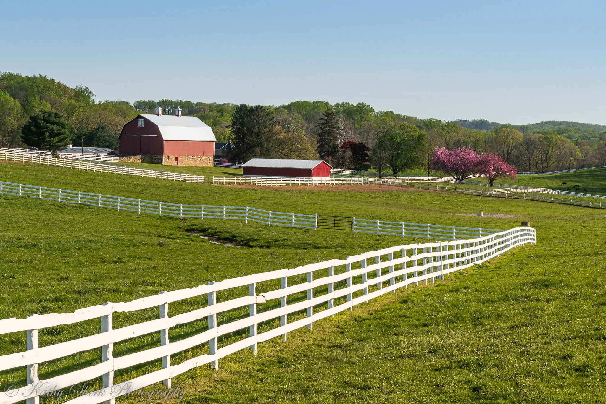 Top Real Estate Agent in Harford County, Maryland The Locals Home Team