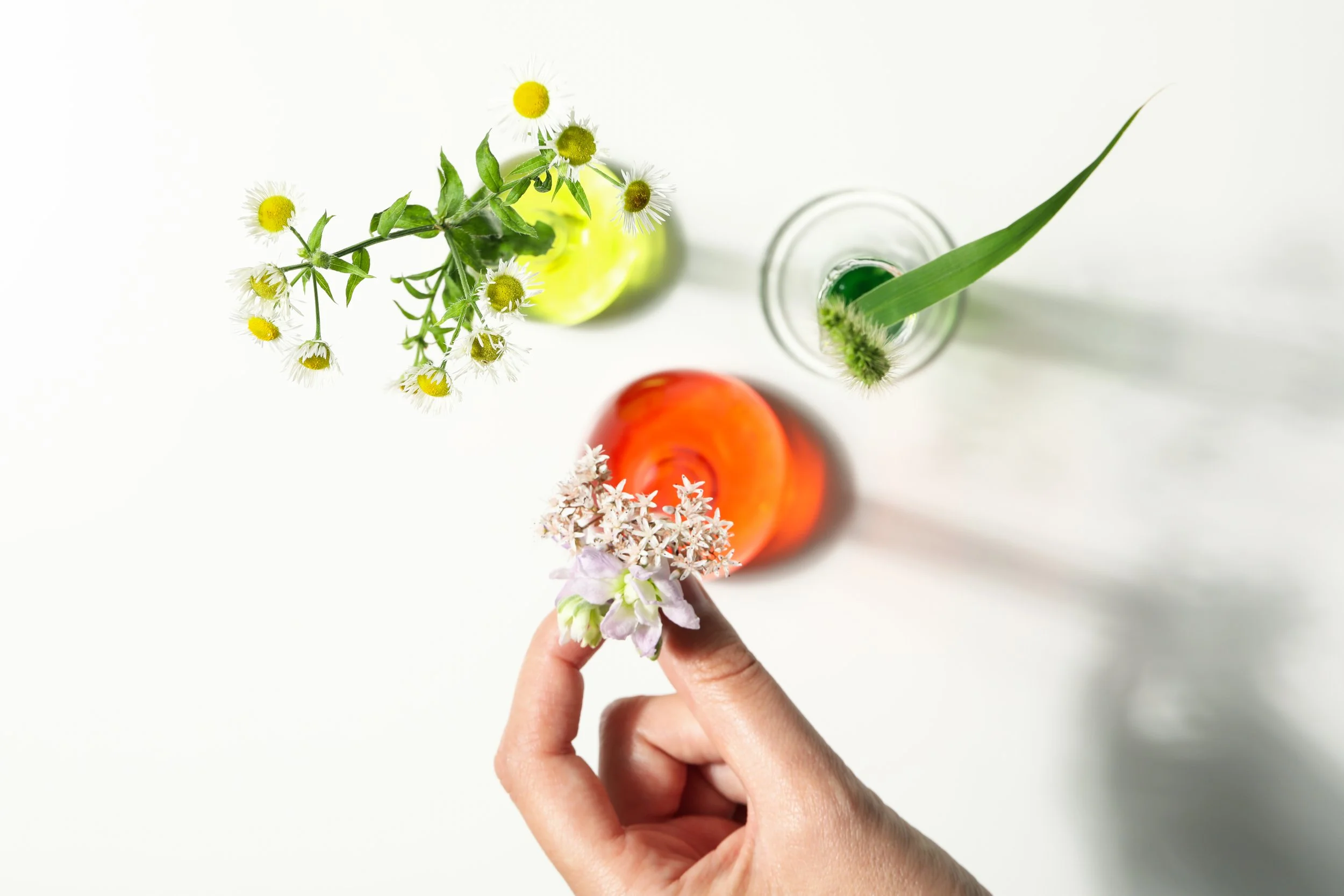iStock-1500937930.jpg