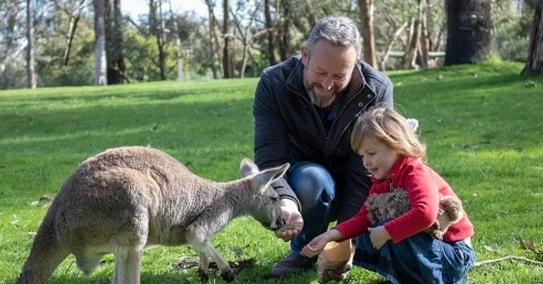 Cleland Conservation Park