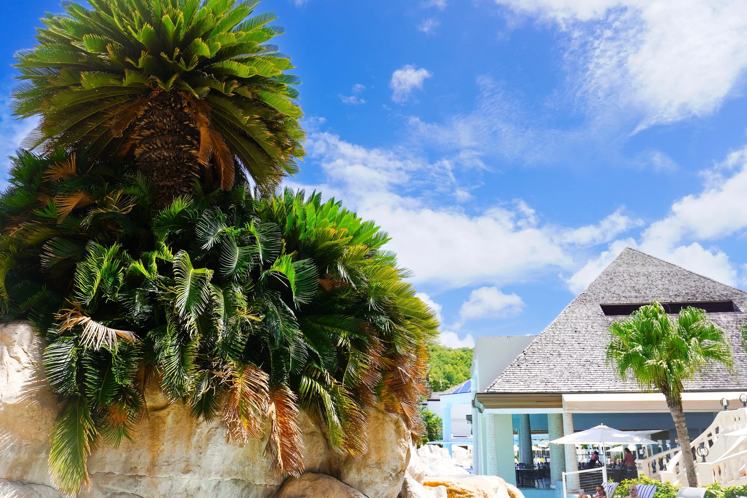 Sandals Regency La Toc