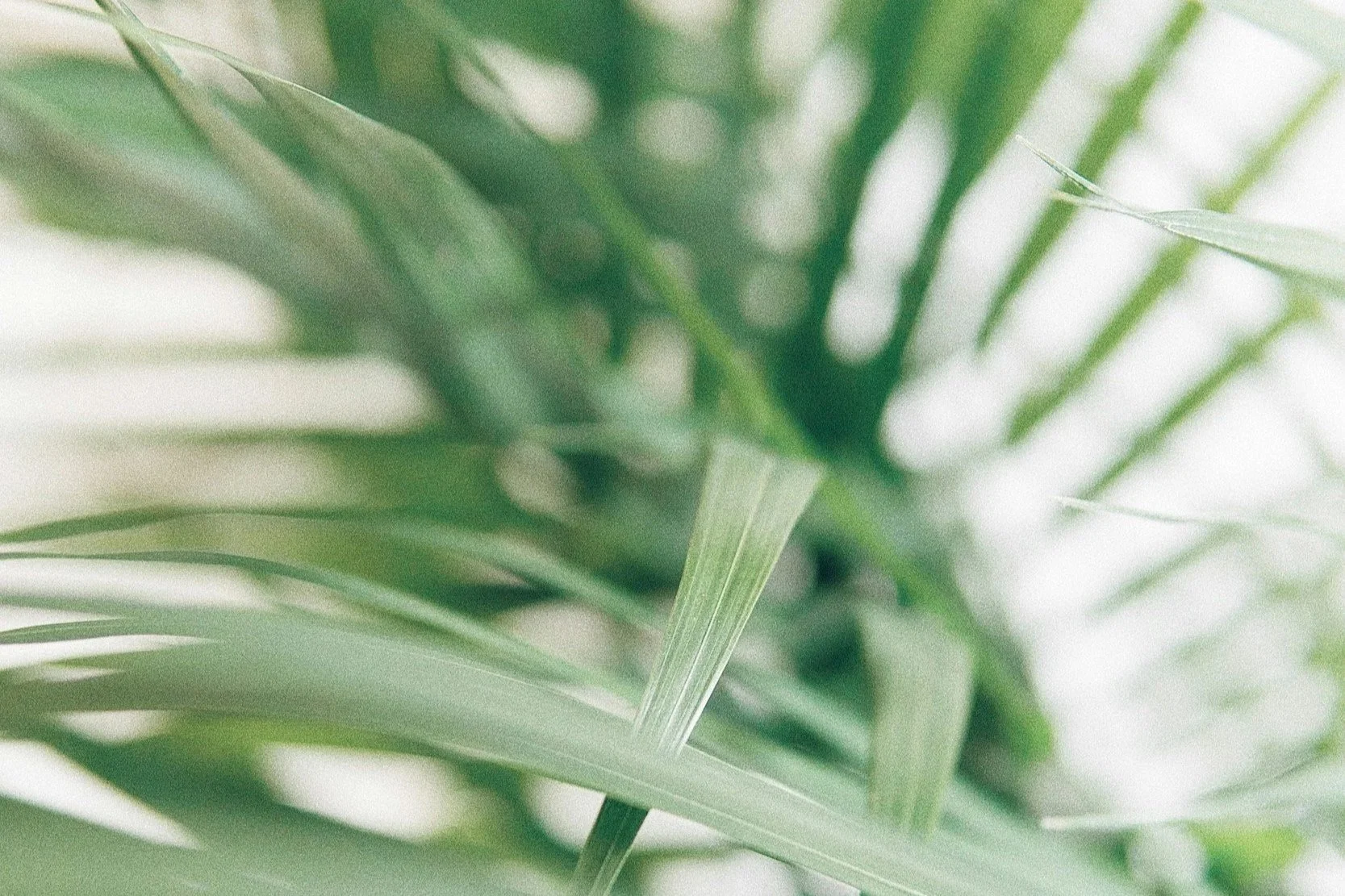 Nordstrom Spa Review