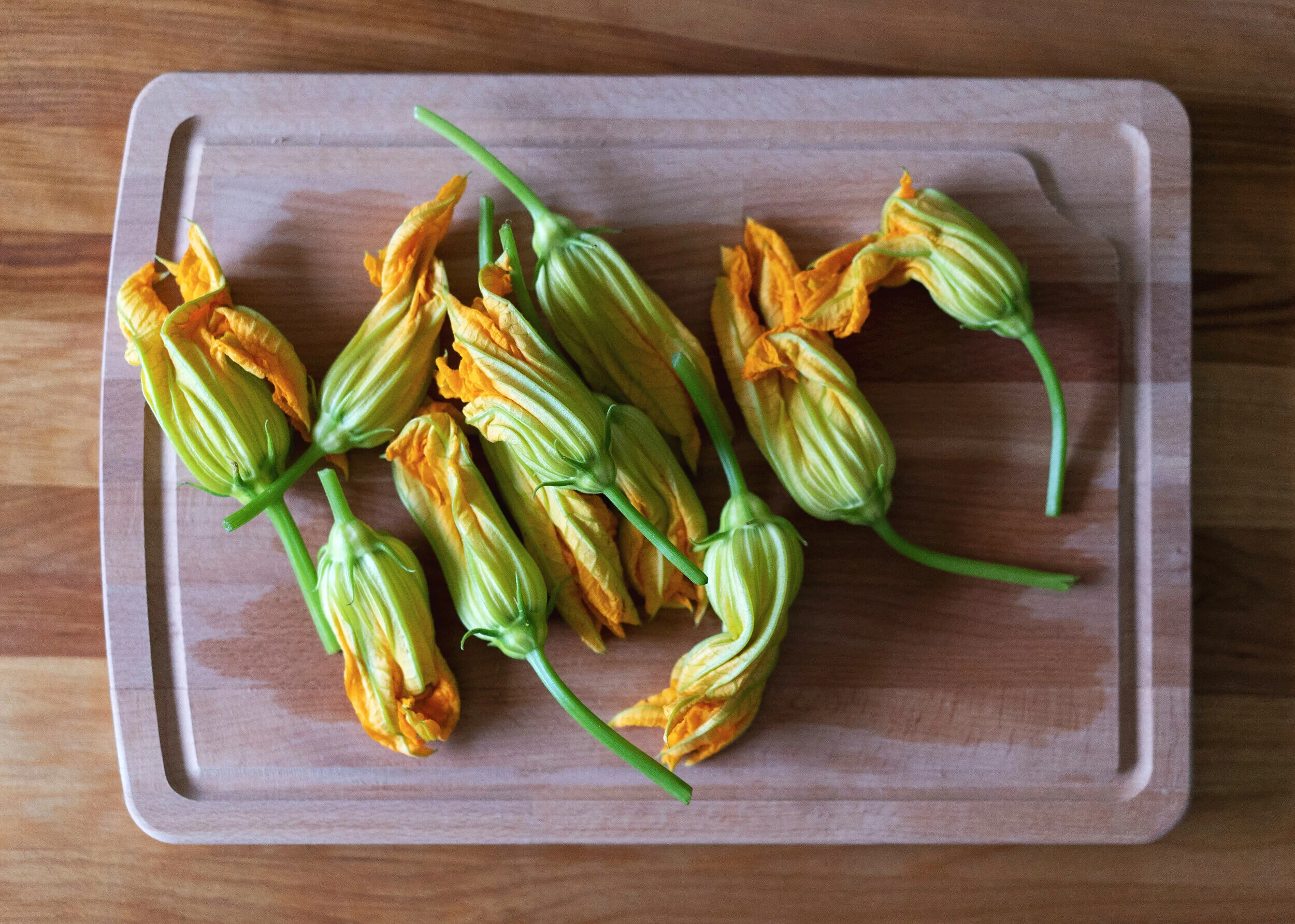 squash_blossoms.jpg
