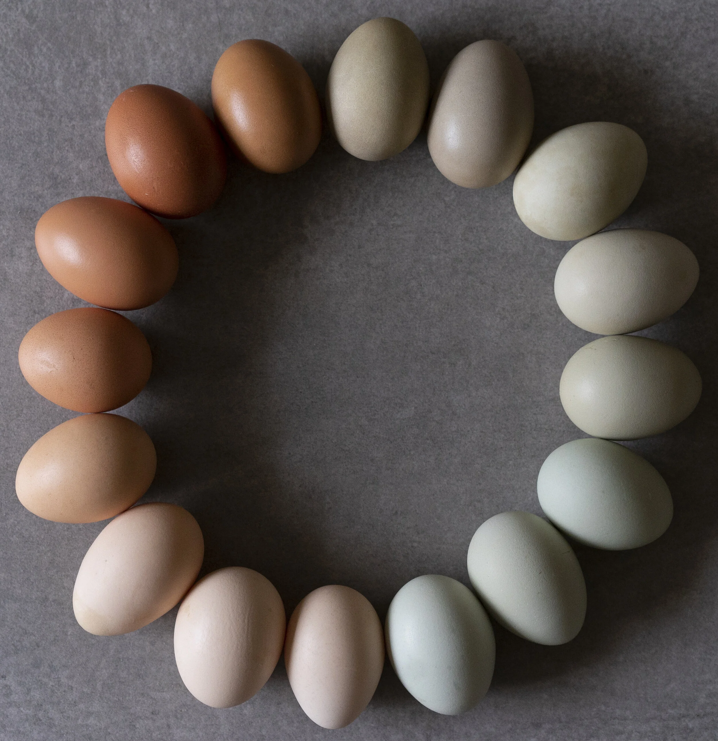 eggs.jpg