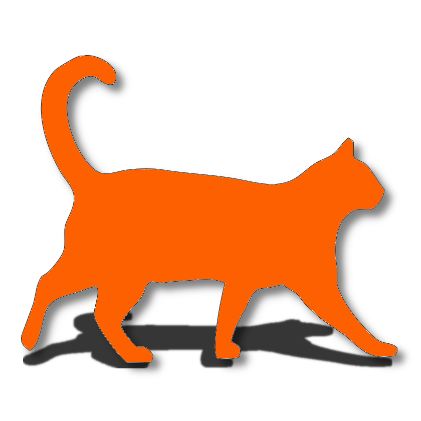 Orange tabby cat