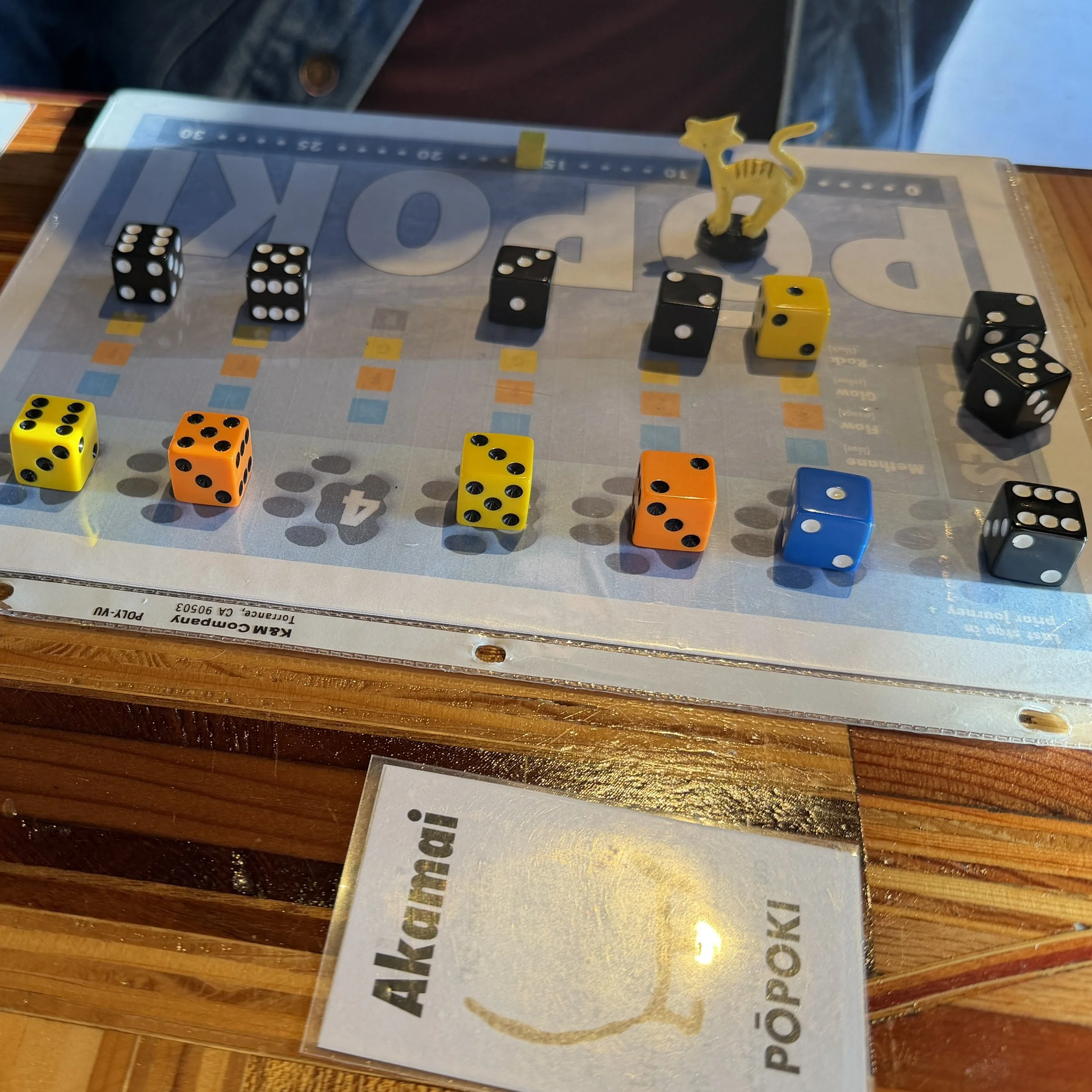 dice arranged to form a path for a cat to walk across
