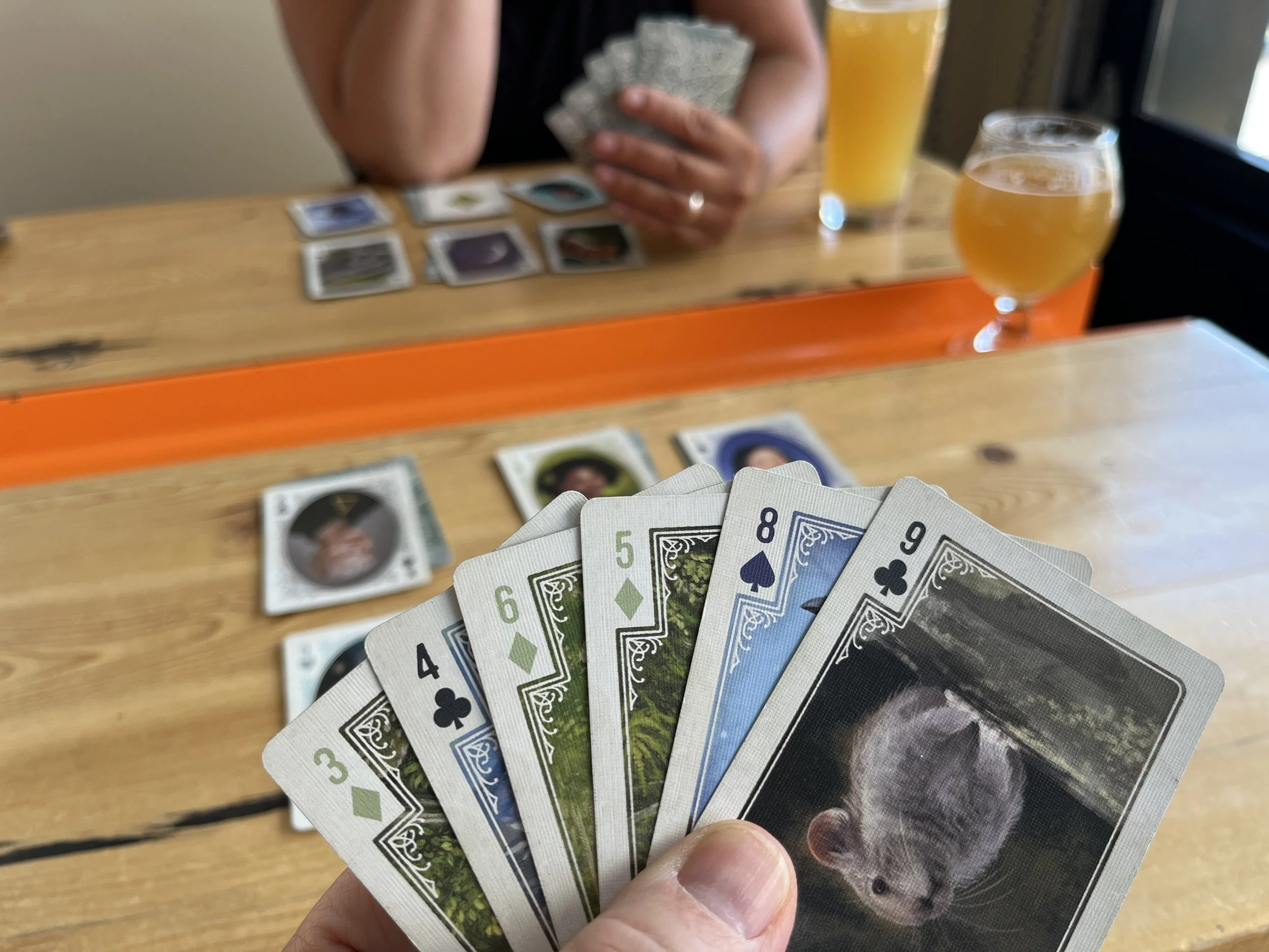 hand of cards looking over the playing area