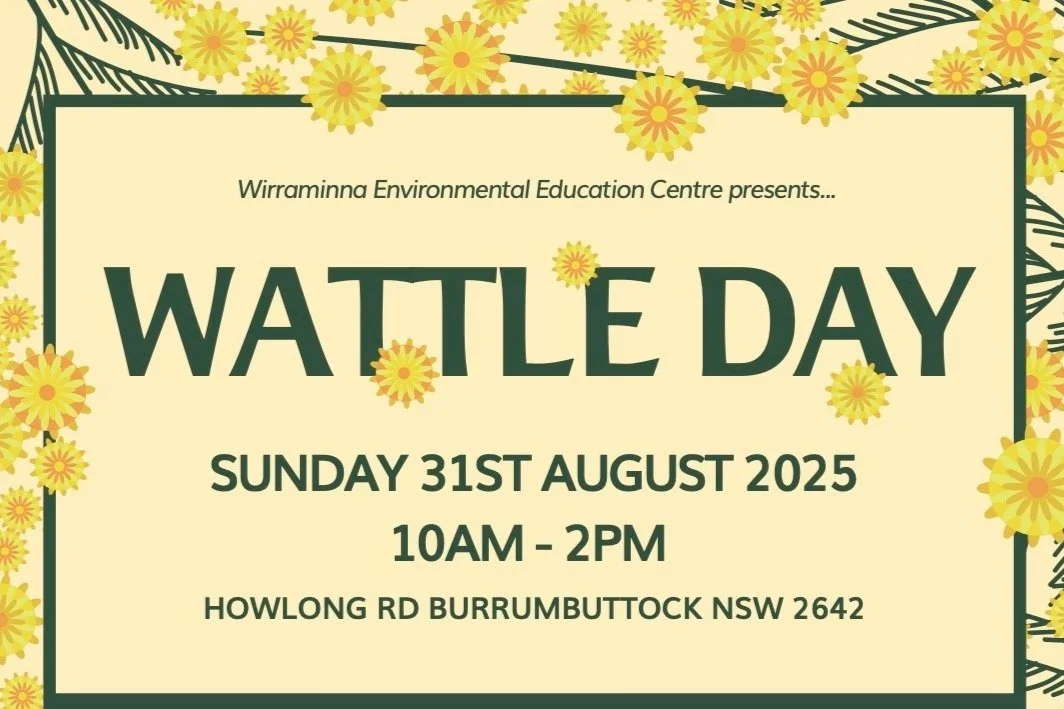 Wirraminna’s Wattle Day