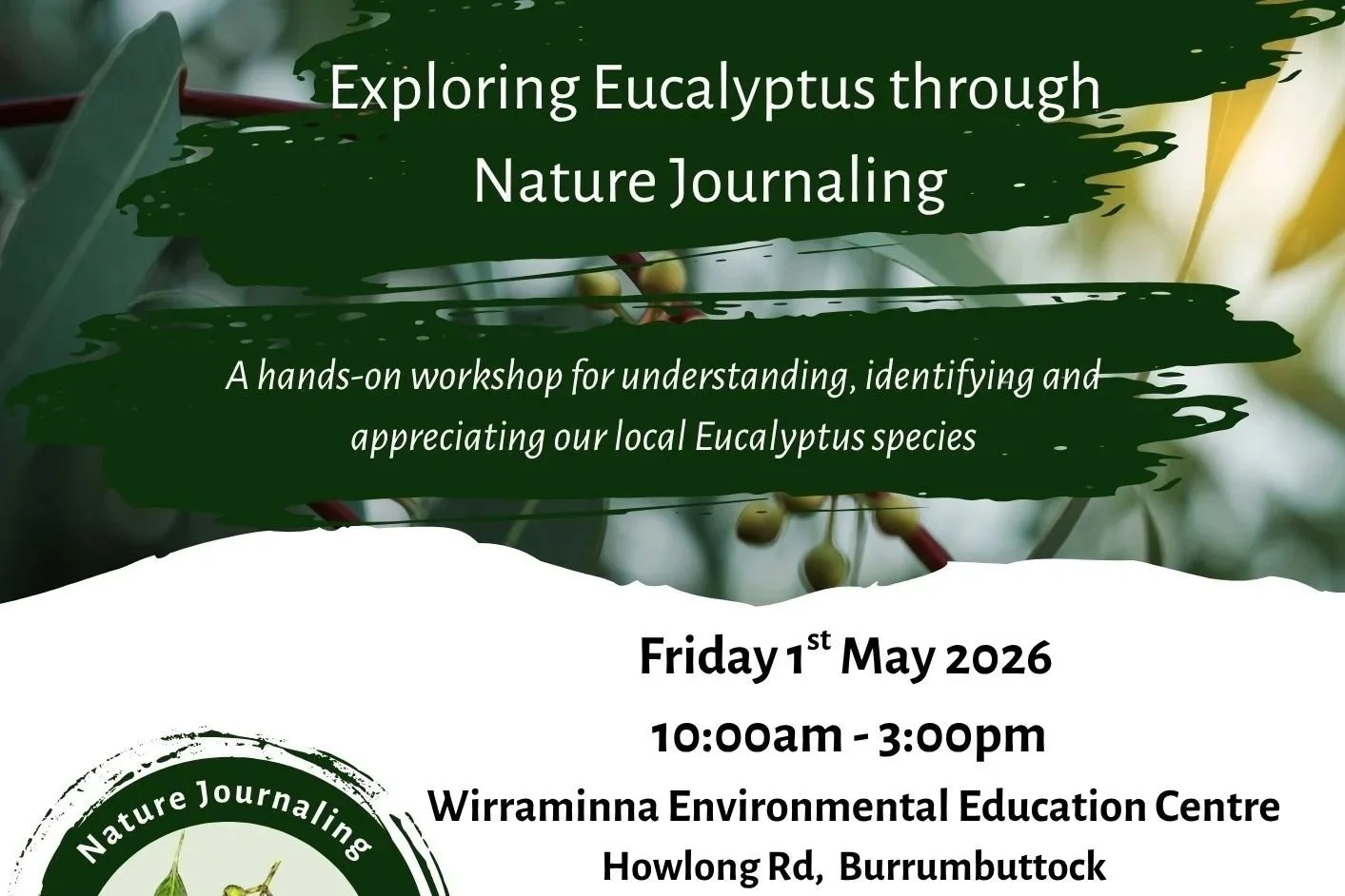Exploring Eucalyptus through Nature Journaling