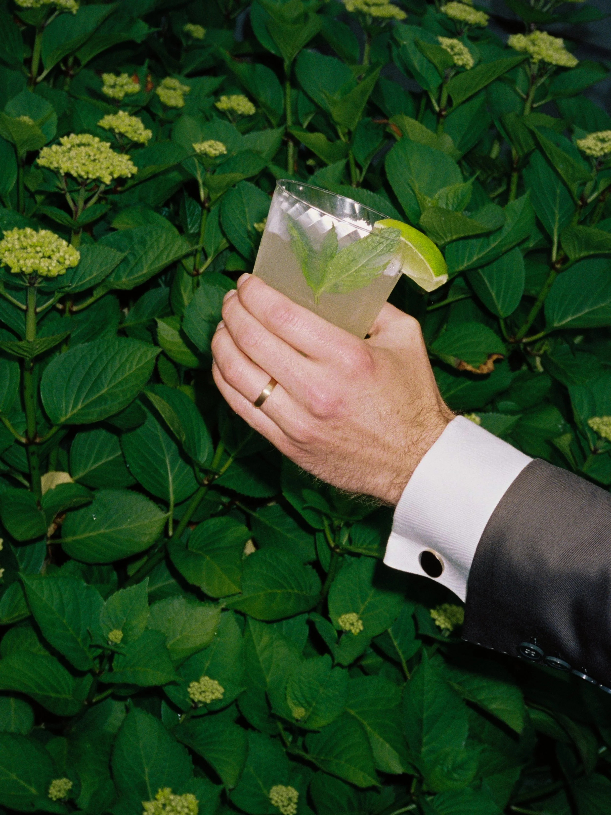 FDP_Ale+NoahWedding-26.jpg