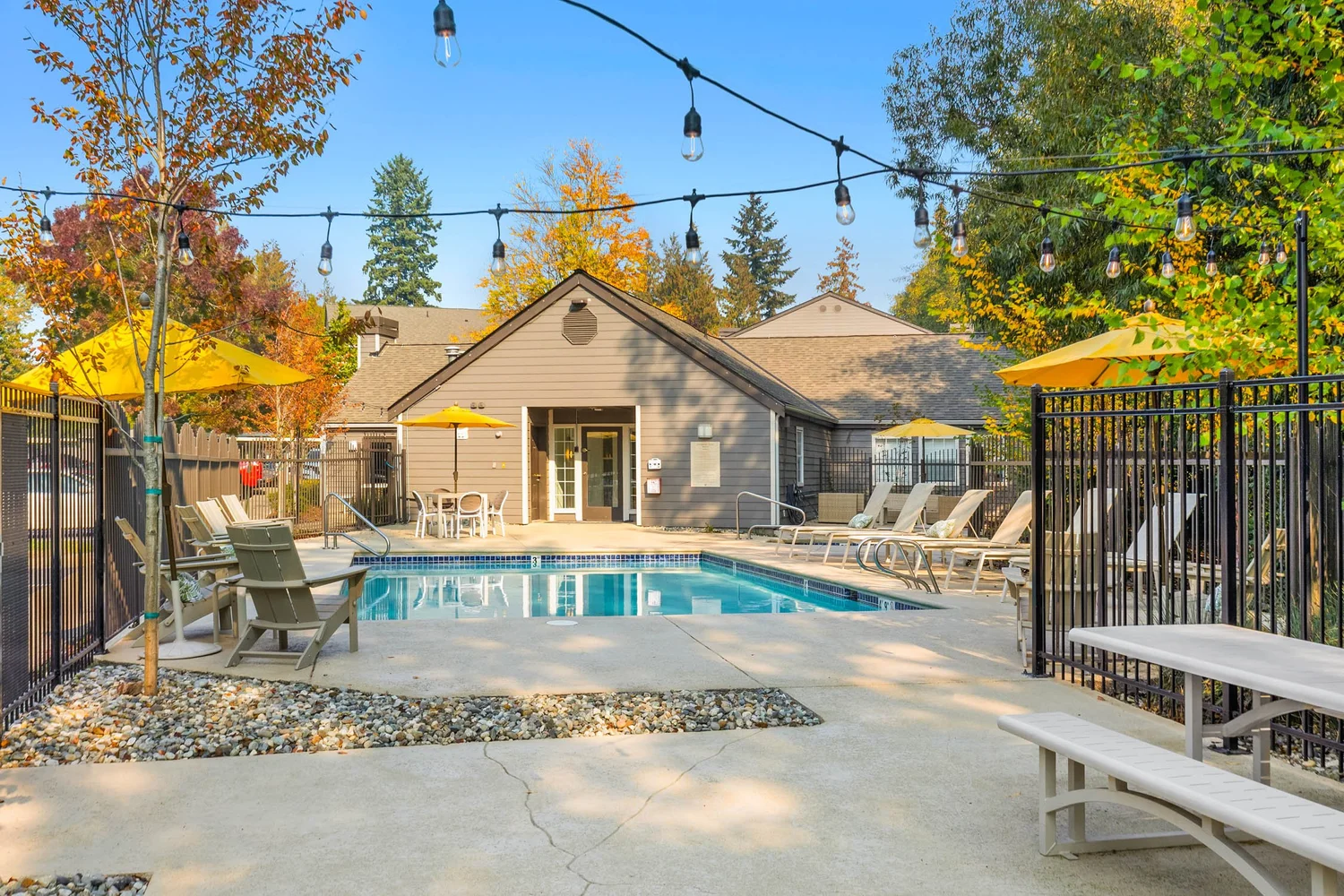 PetFriendly Apartments in Everett Apartment with Pool & Gym — Canopy