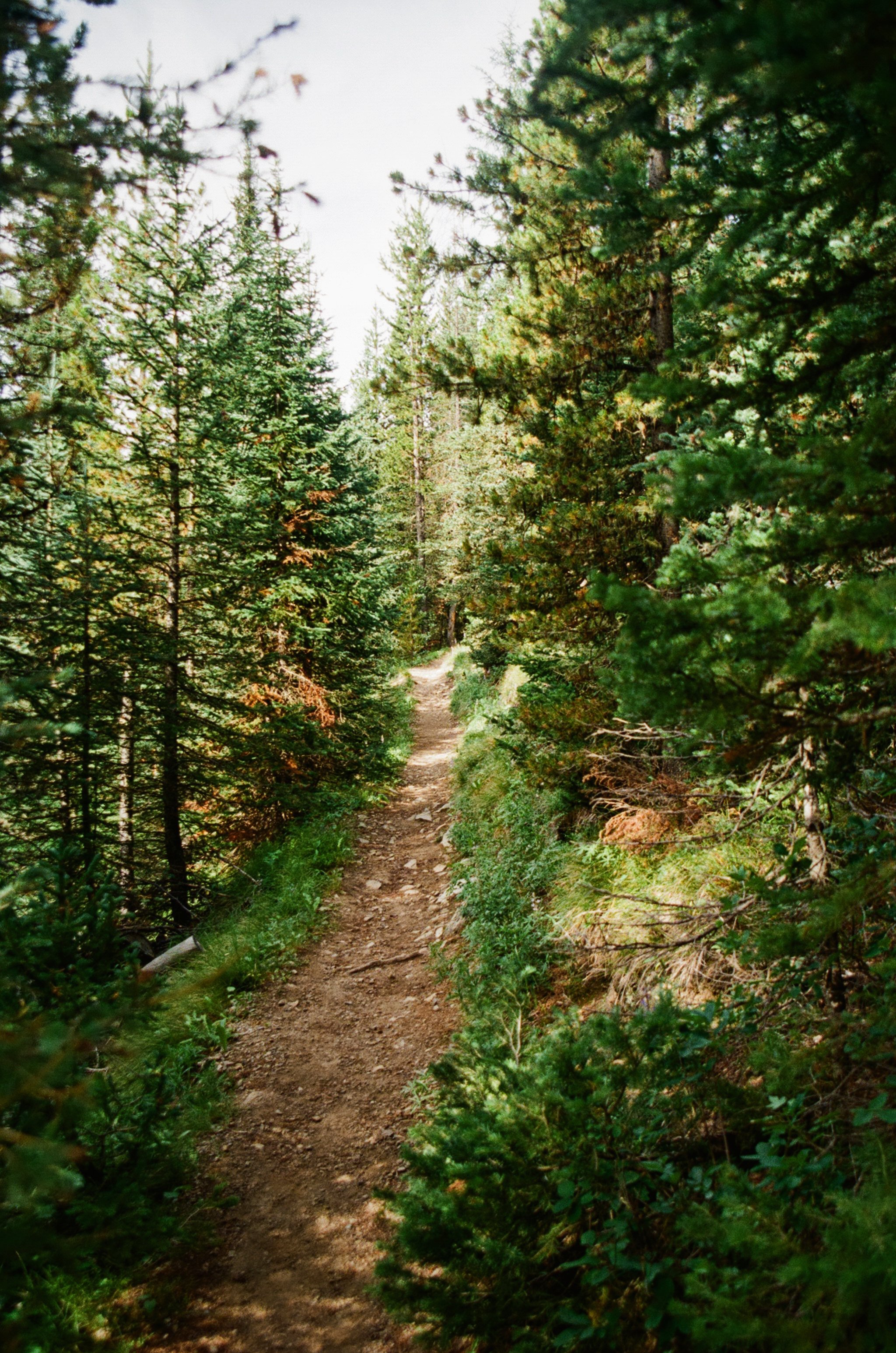 1 (59).jpg