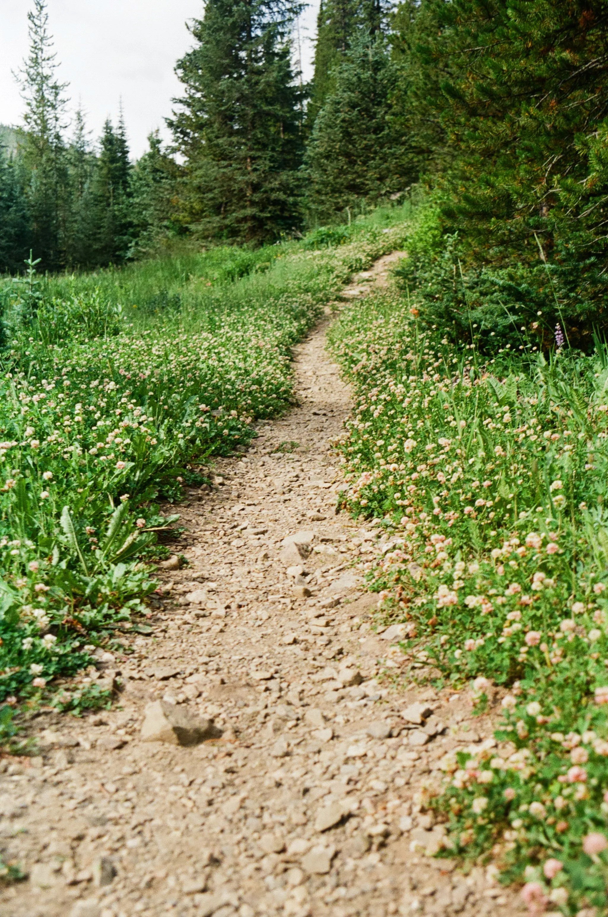 15 (13).jpg