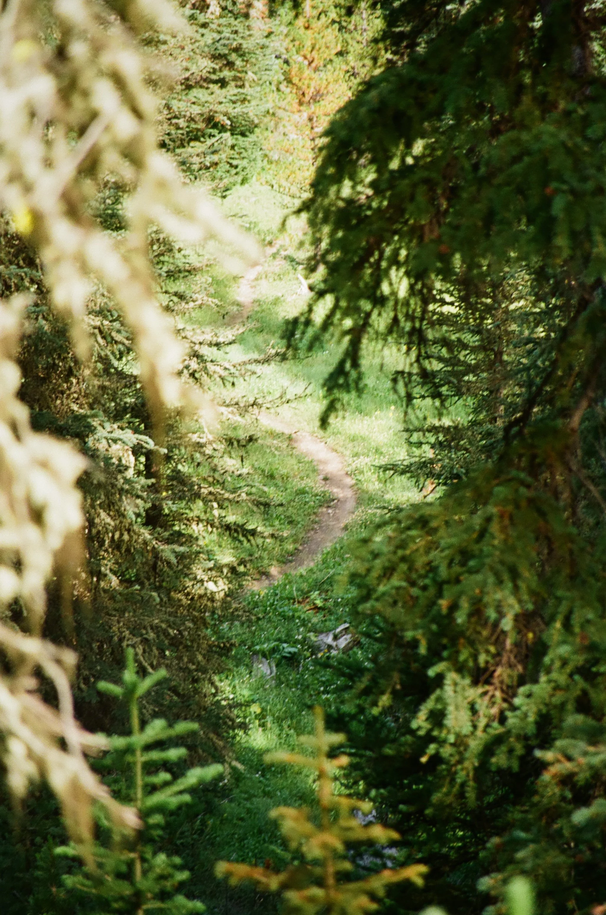 17 (11).jpg