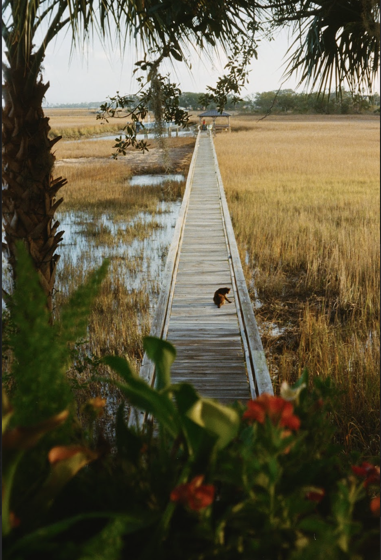 Screenshot 2026-01-06 at 2.17.10 PM.png