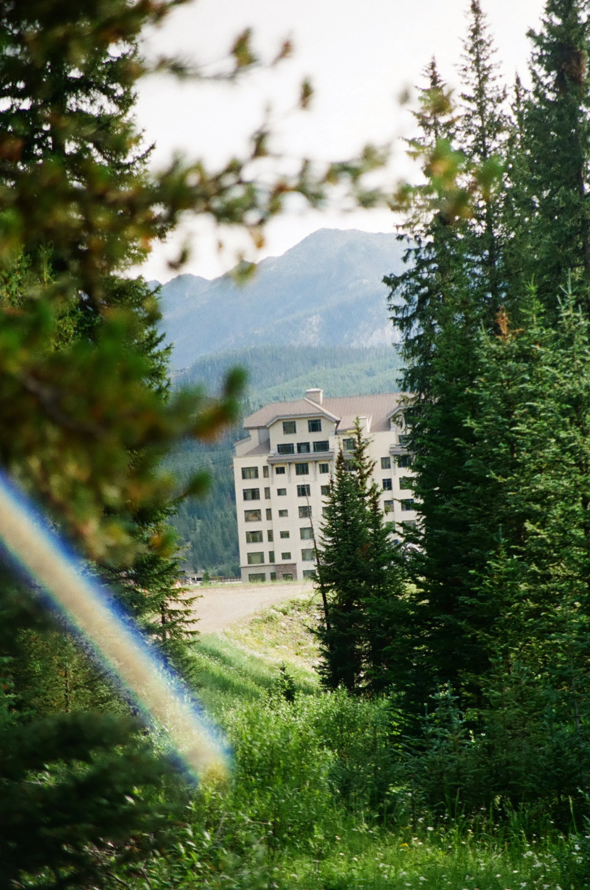 2 (37).jpg
