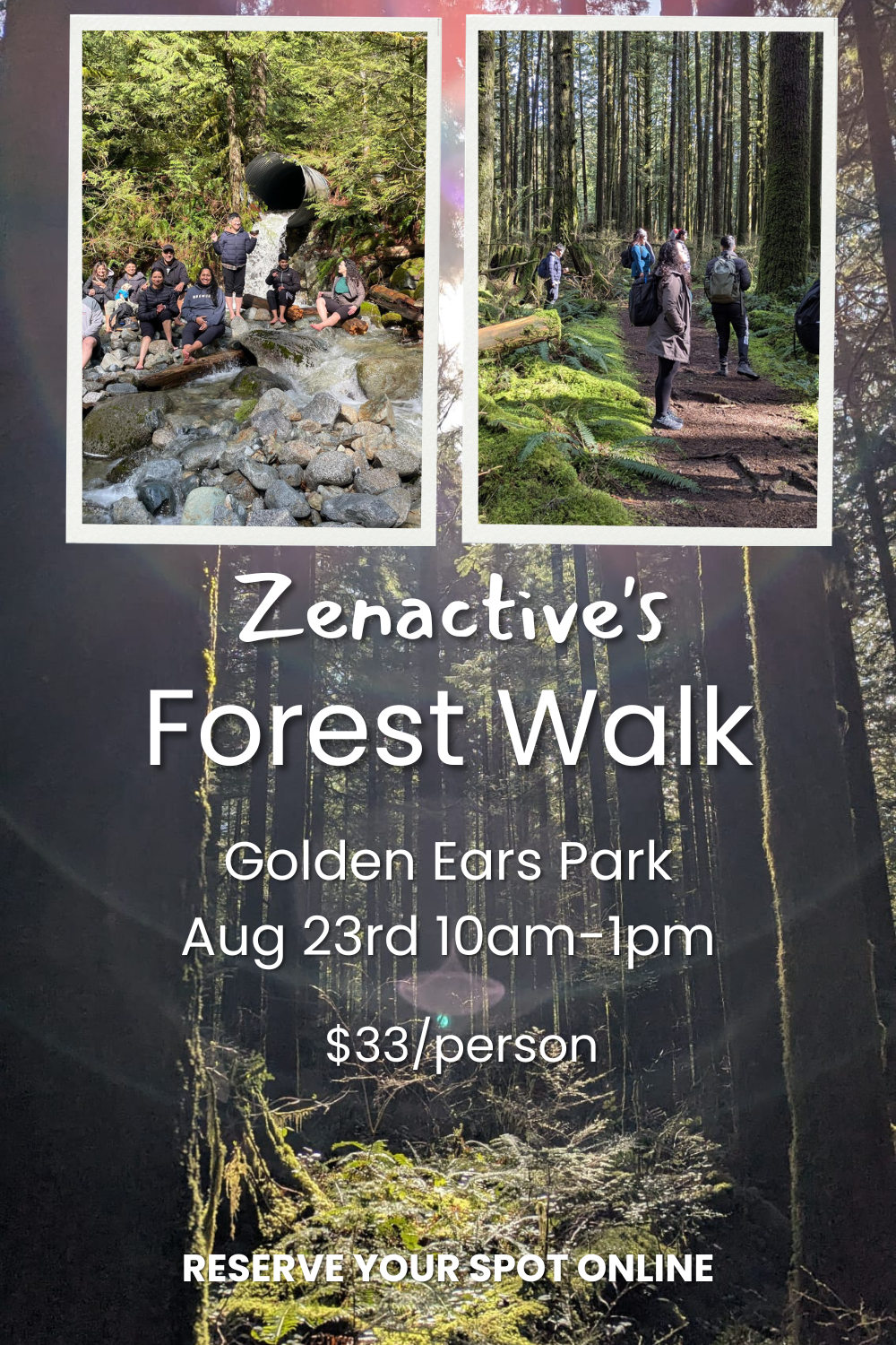 Forest Walk &amp; Meditation