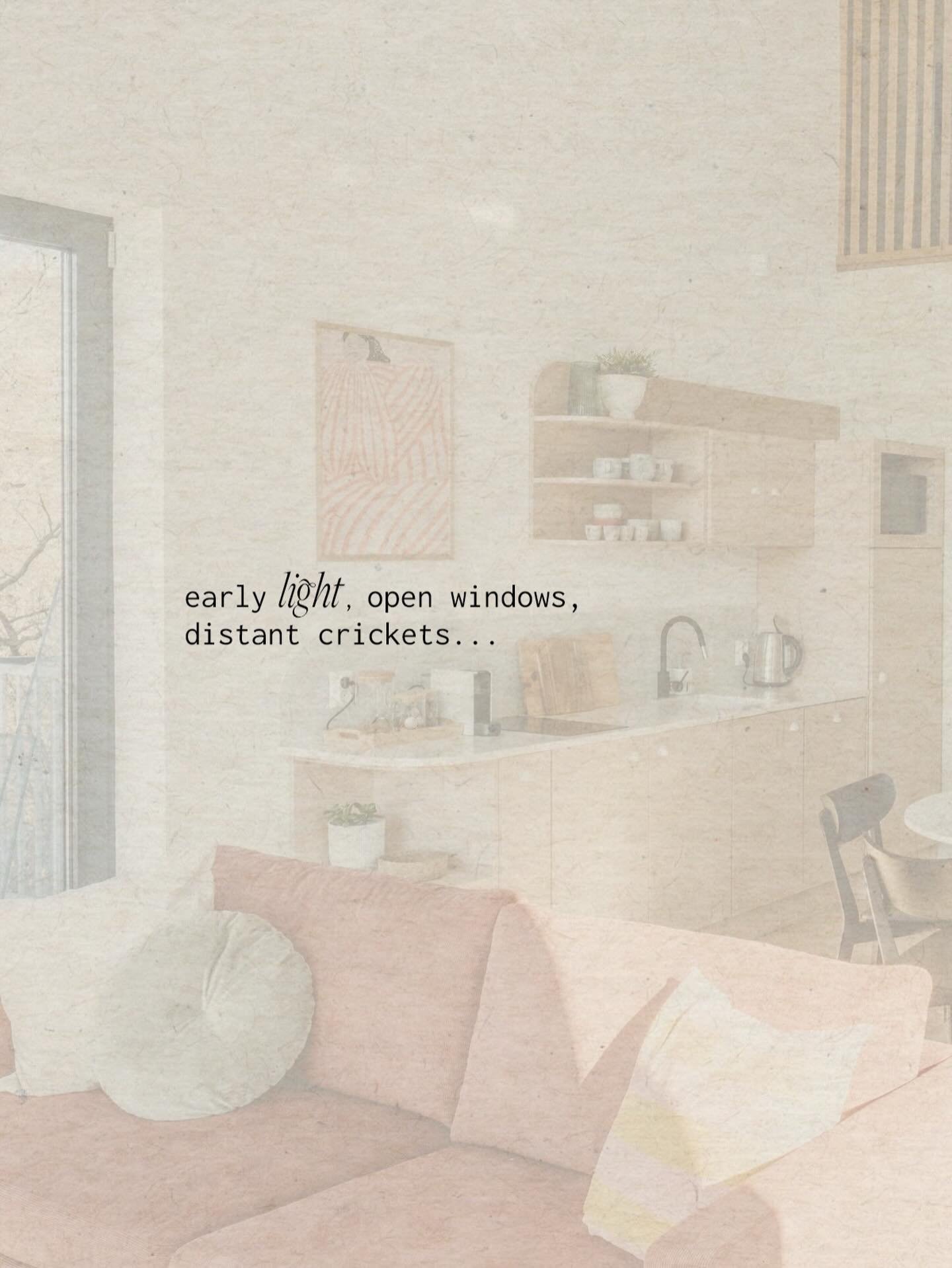 unrushed hours ~

@suqo_sukoro 𖡼𖤣𖥧𖡼𓋼

photo: @photobysarapetrak ☼