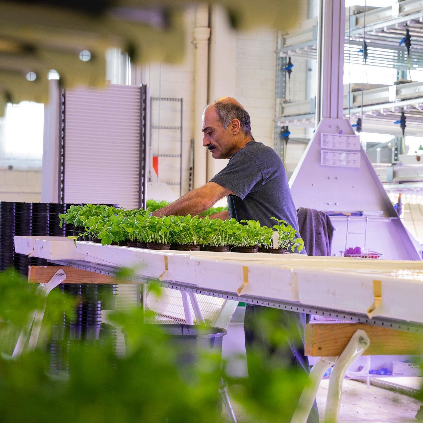 F&aring;r vi bara ta en sekund och praisa alla som jobbar med produktion av v&aring;ra &ouml;rter nu efter p&aring;sk 🐣🐣🐣 ?! H&ouml;gtid = h&ouml;gt &ouml;rttryck och v&aring;ra kollegor, till exempel Ibrahim, har jobbat stenh&aring;rt 🙌👏🙌👏