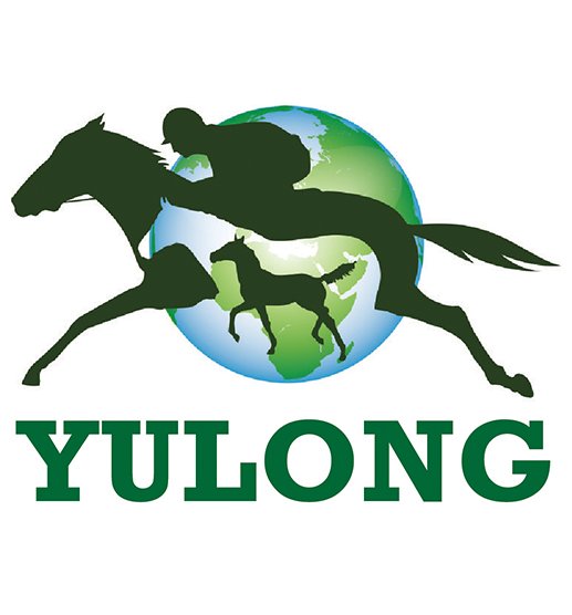 Yulong.jpg