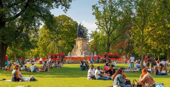 Picknick-Amsterdam.webp
