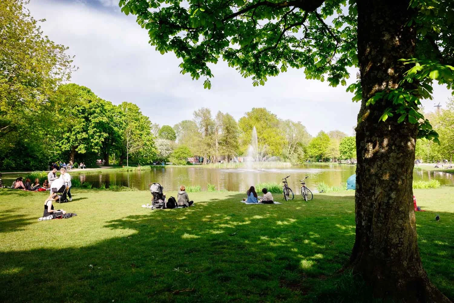 Pillows_Maurits_at_the_Park-Vondelpark_2.jpg