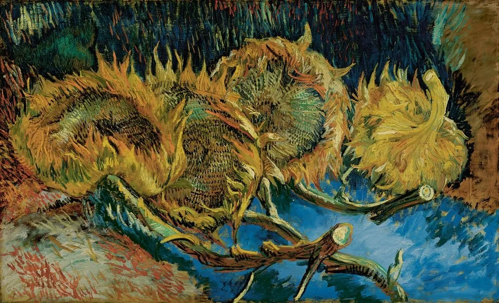 Medium-KM 105.570 Vincent van Gogh, Vier uitgebloeide zonnebloemen, augustus-oktober 1887- Four sunflowers gone to seed, August-October 1887.jpg