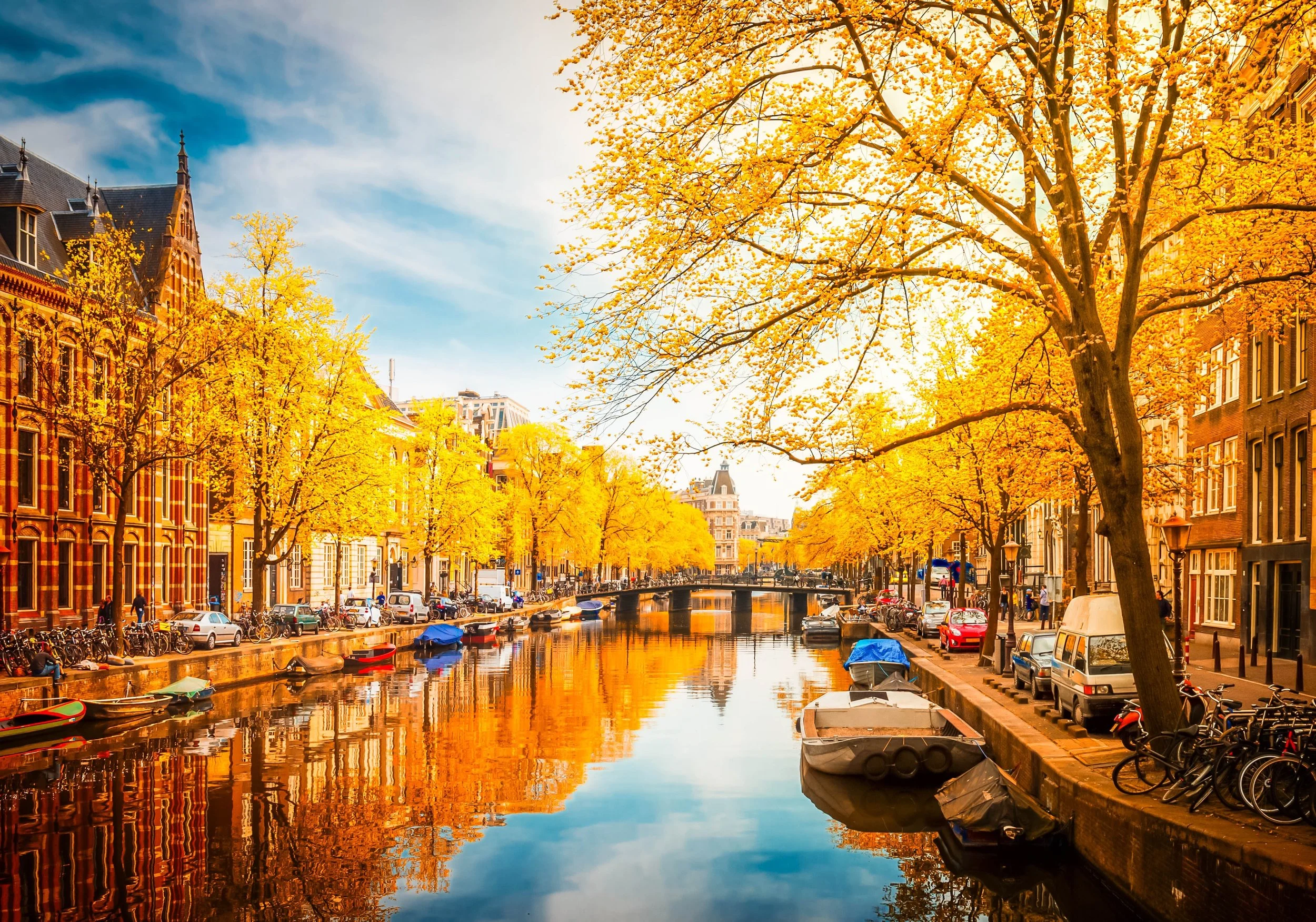 7 Autumn Highlights In Amsterdam You Won t Want To Miss THE PILLOWS BLOG