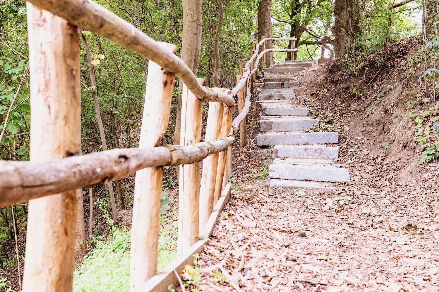 IMG_0571 kopiëren.jpeg