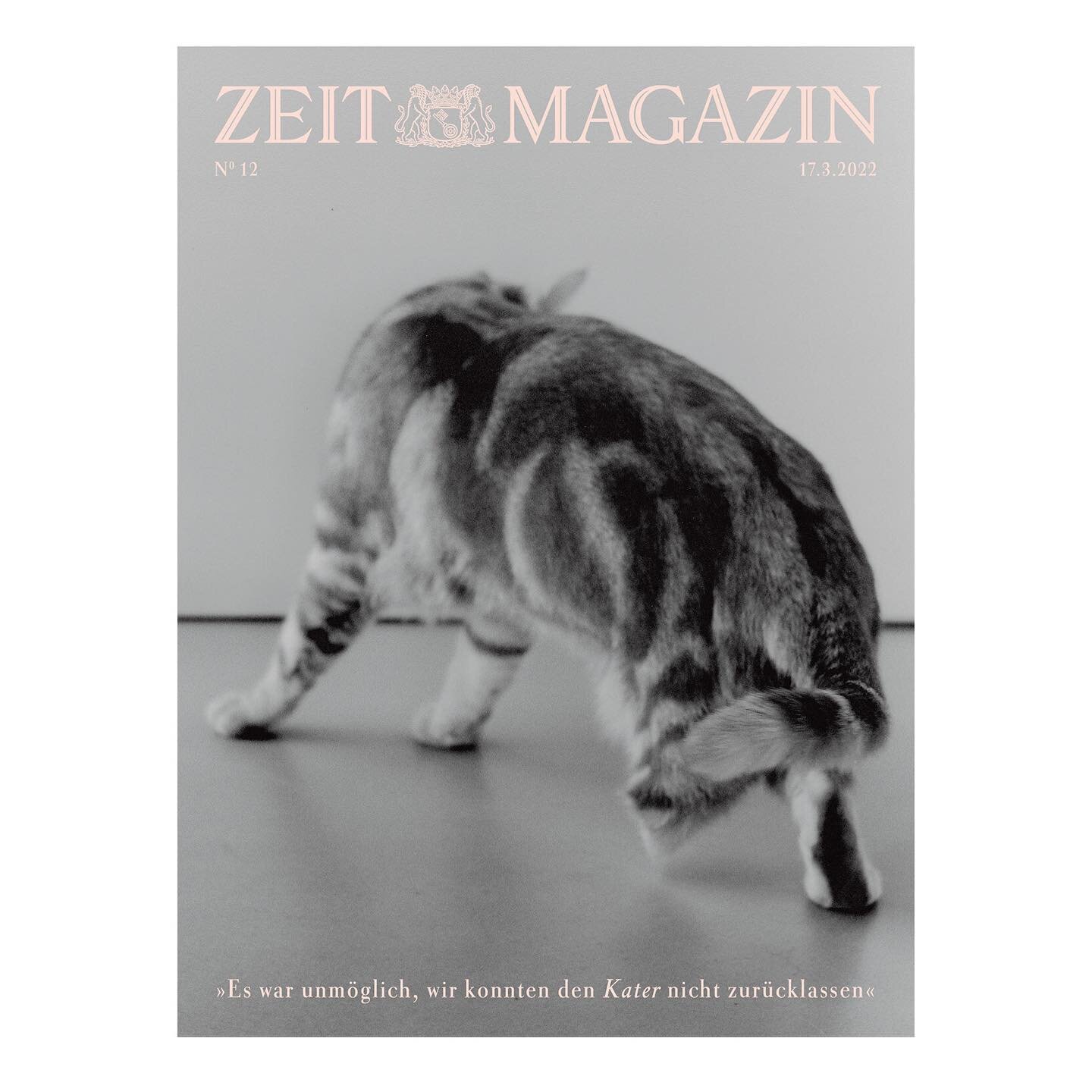 &raquo;Vor der Flucht haben wir hin und her überlegt: Was sollen wir mit dem Kater machen?&laquo; - @pygmalion und ich haben ukrainische Gefl&uuml;chtete in Berlin getroffen und sie gefragt, welche Dinge ihnen so sehr am Herzen liegen, dass sie sie 