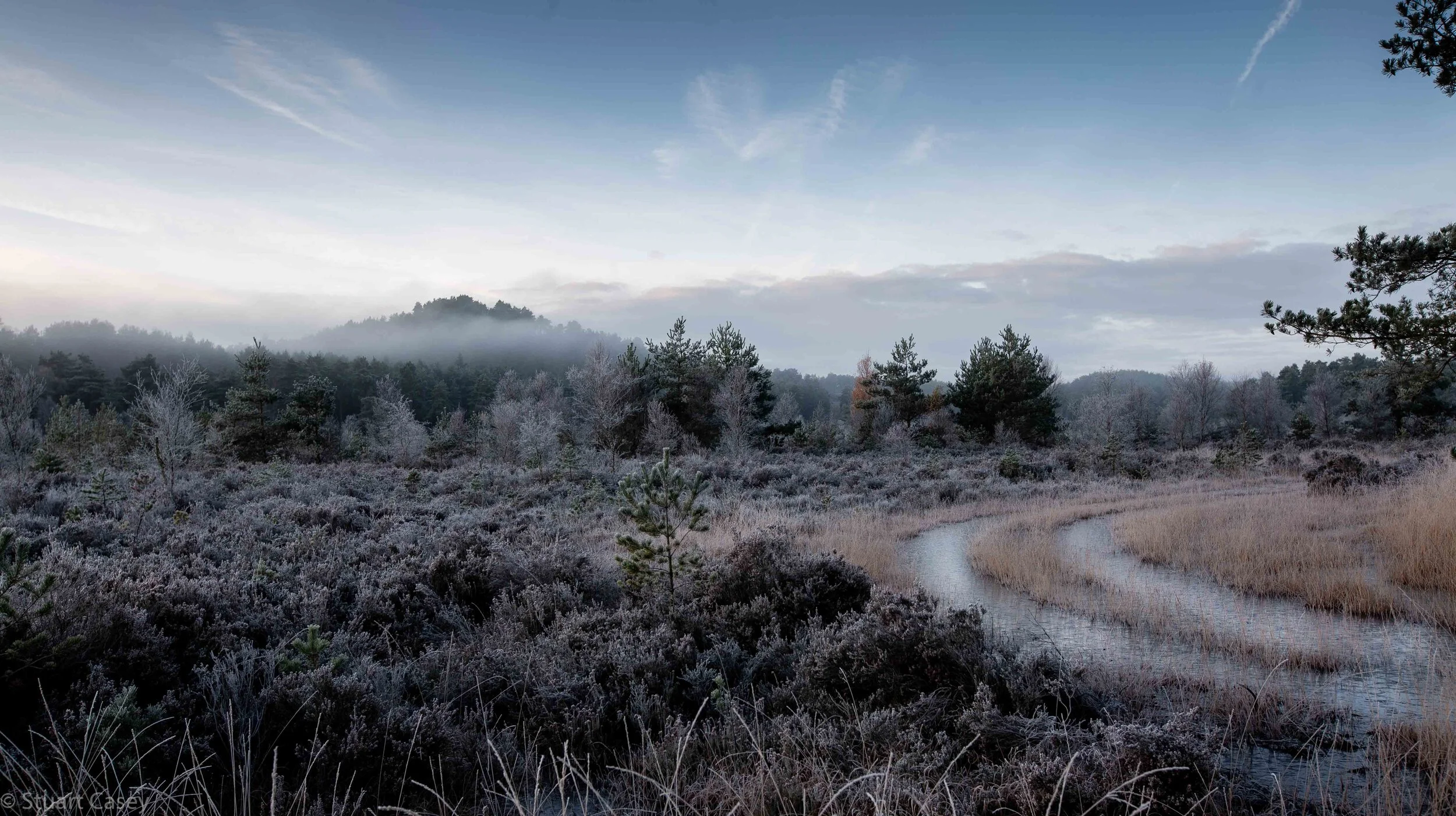  Frensham Common, Surrey 
