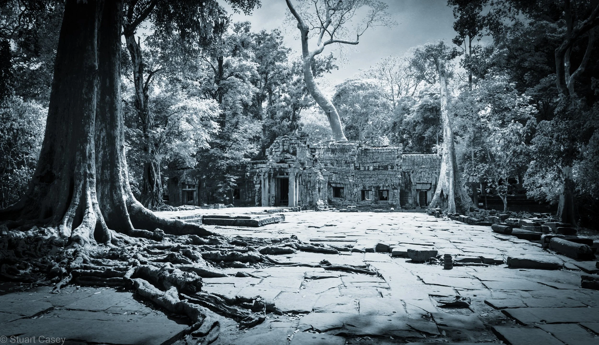  Ta Prohm Khmer Temple, Cambodia 