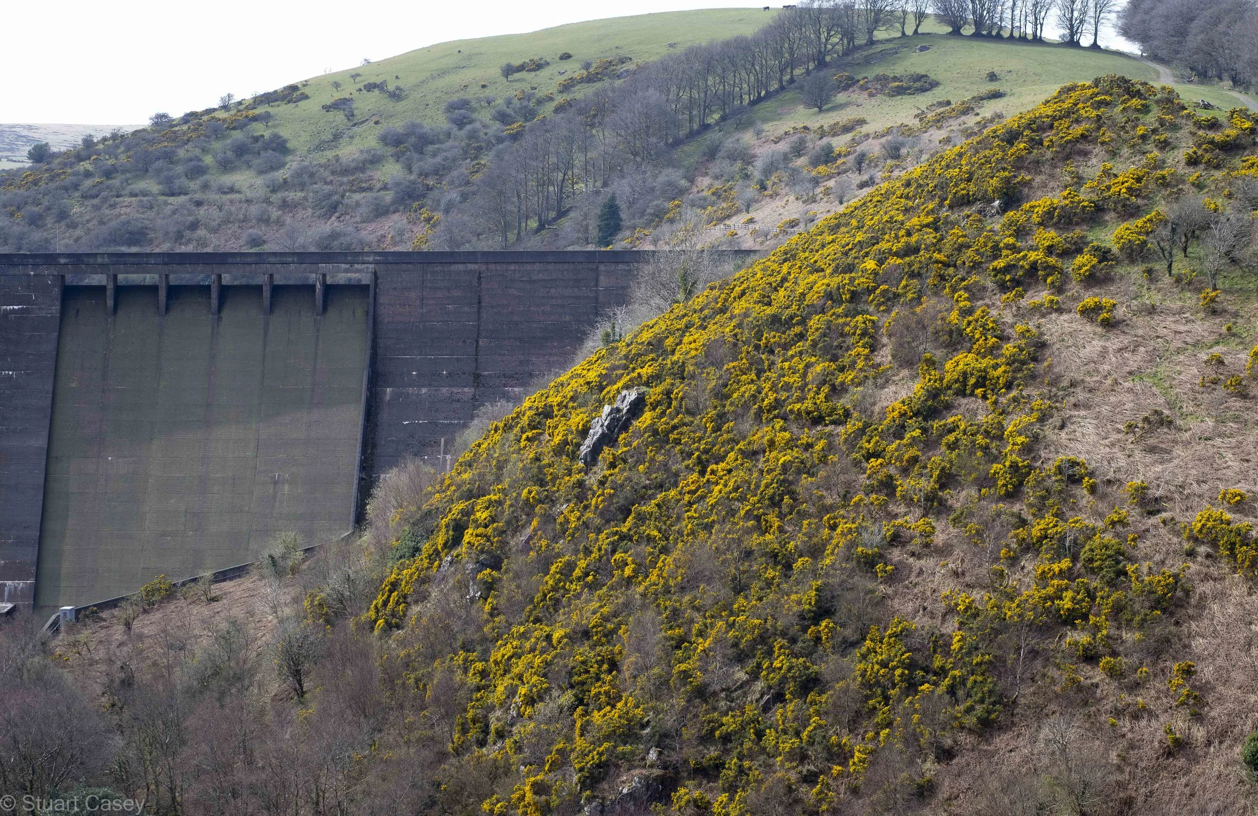 Meldon reservoir