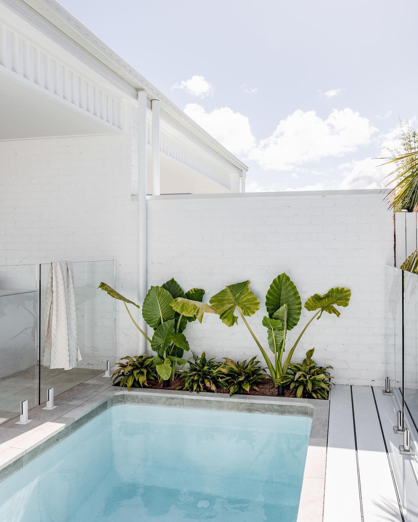 Woonona Duplex by @hs.building 

Wouldn&rsquo;t be complete without the inclusion of twin plungies @plungie.australia 

The open-plan design of this duplex seamlessly connects to generous alfresco areas, complementing the plunge pools surrounded by l