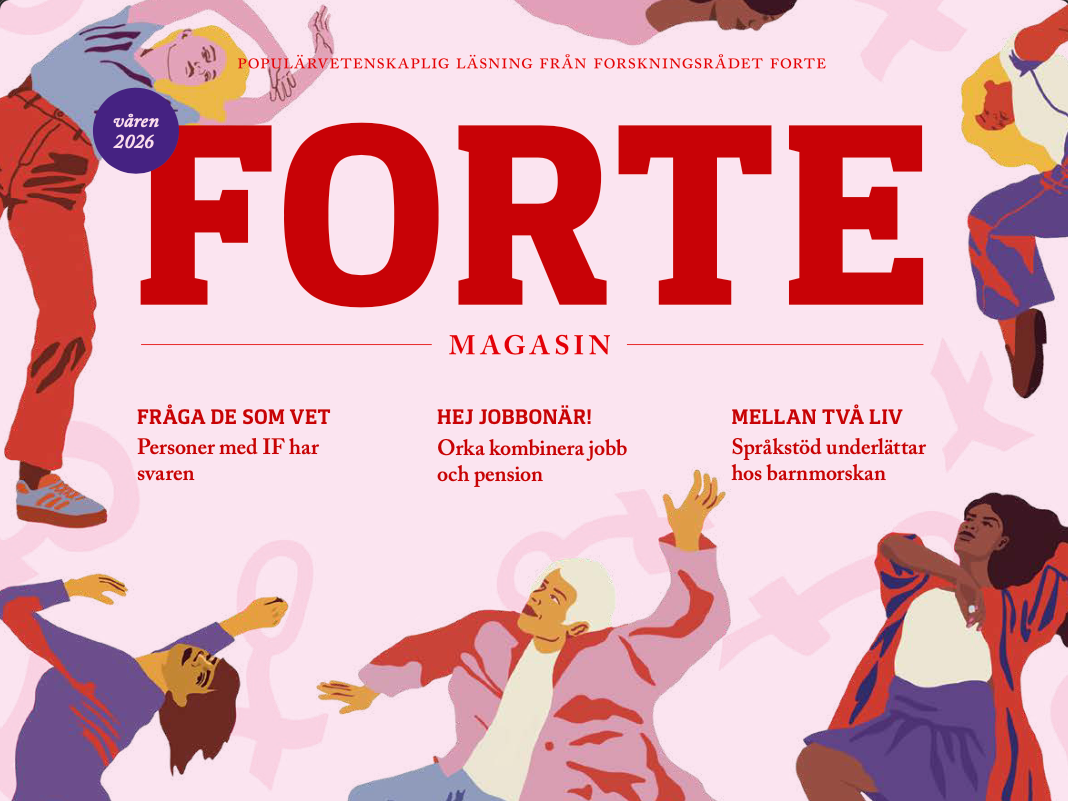Forte Magasin