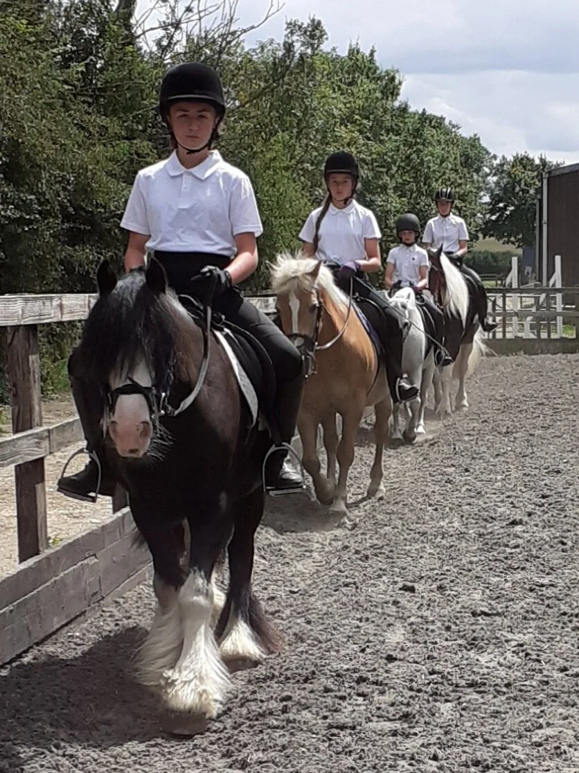 Monach Farm Horse Riding Stables