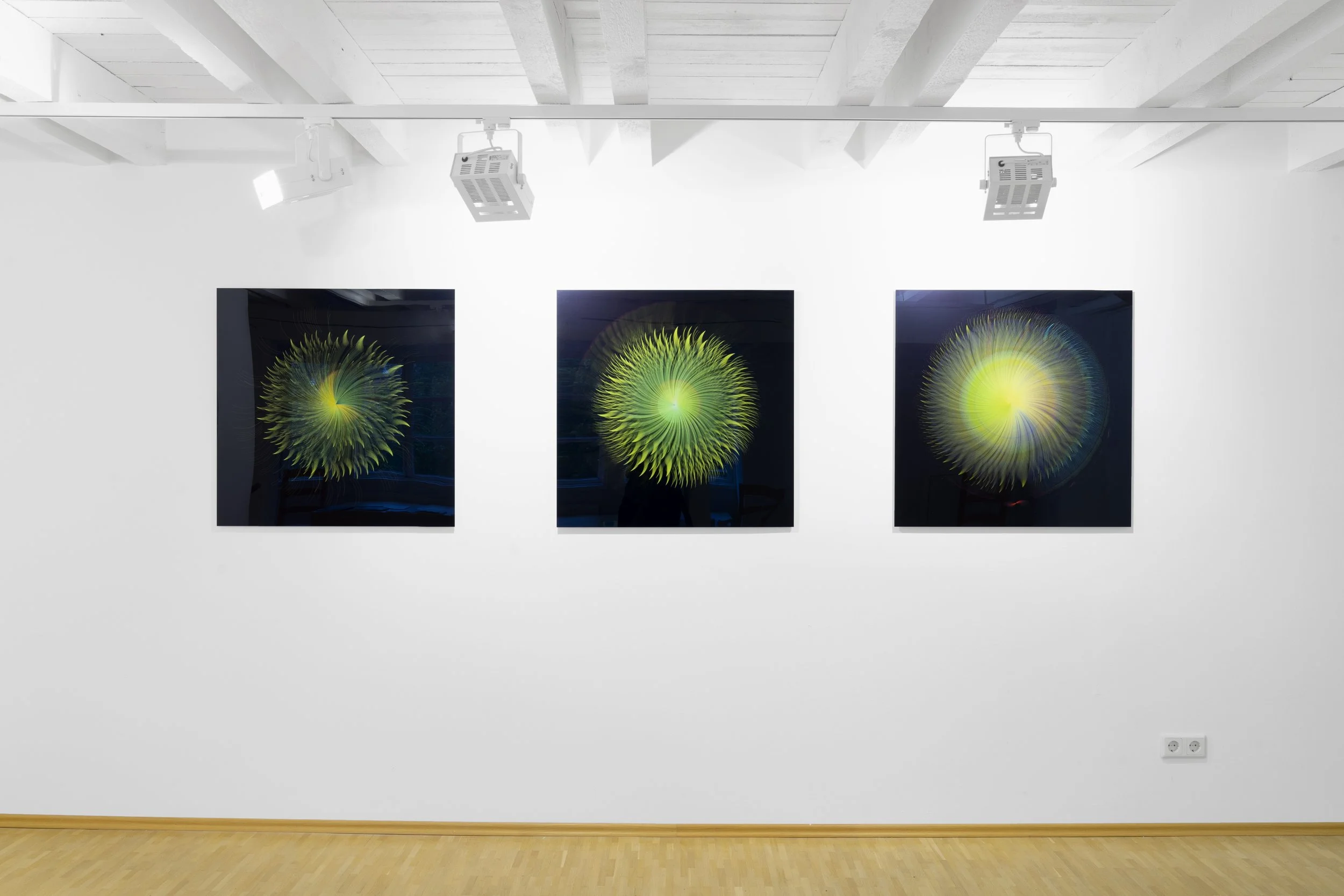 ©Franziska von den Driesch